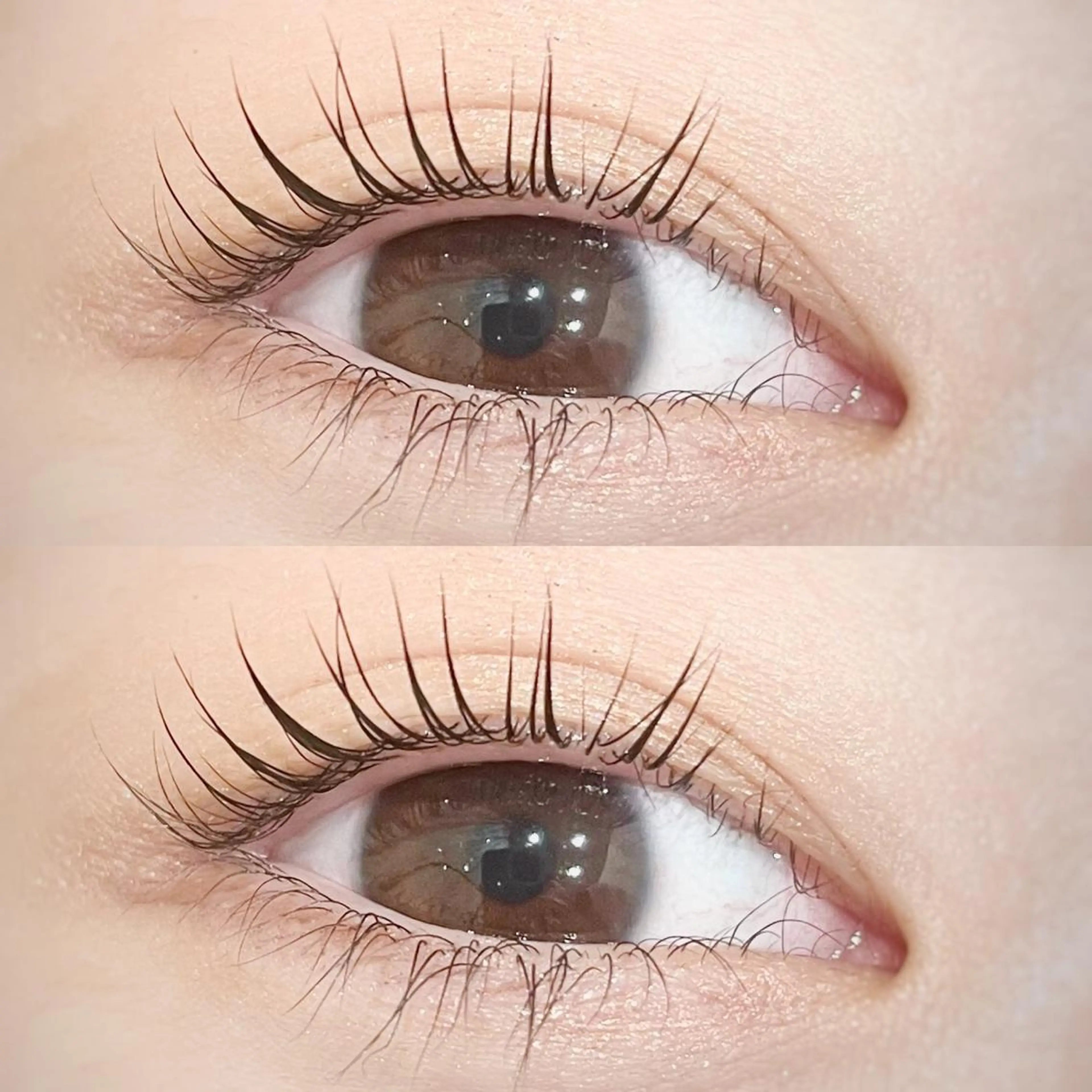 🍳ラッシュリフト(上まつ毛)🤍の写真