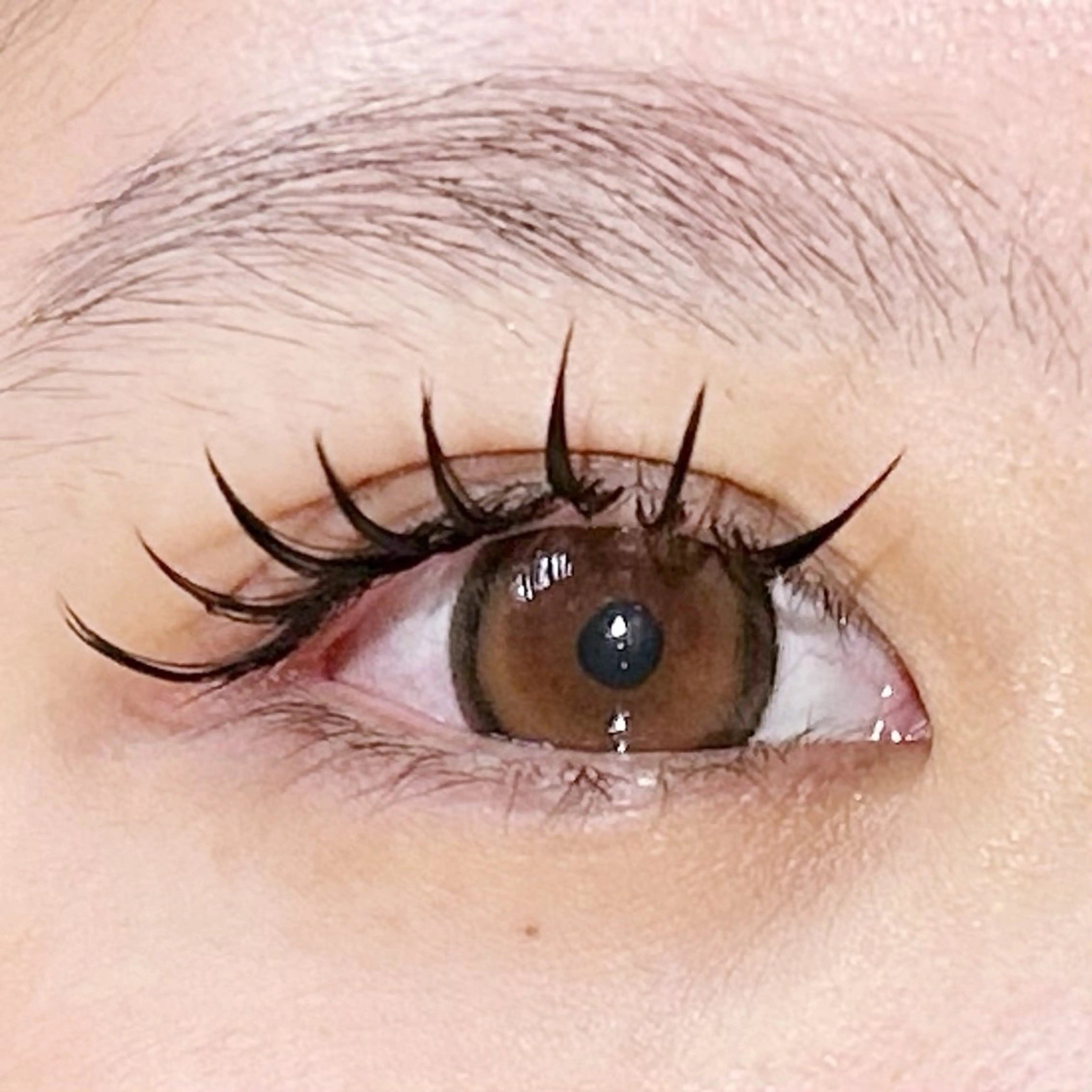 マツエク・マツパ マツエク soposilma 🧸今季OPENのマツエク・マツパデザイン