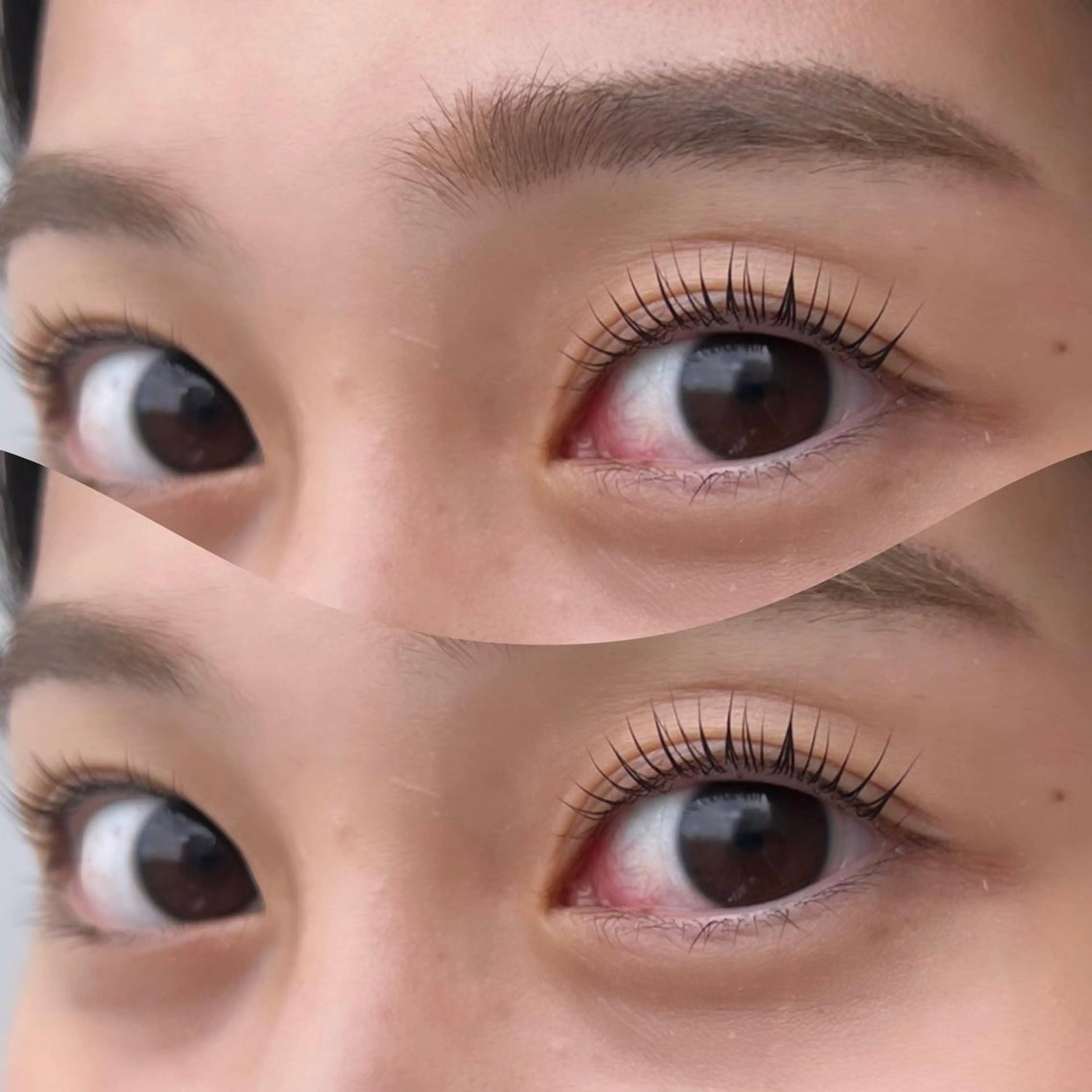 ☆再来☆ 【パリジェンヌラッシュリフト+アイブロウWax】の写真