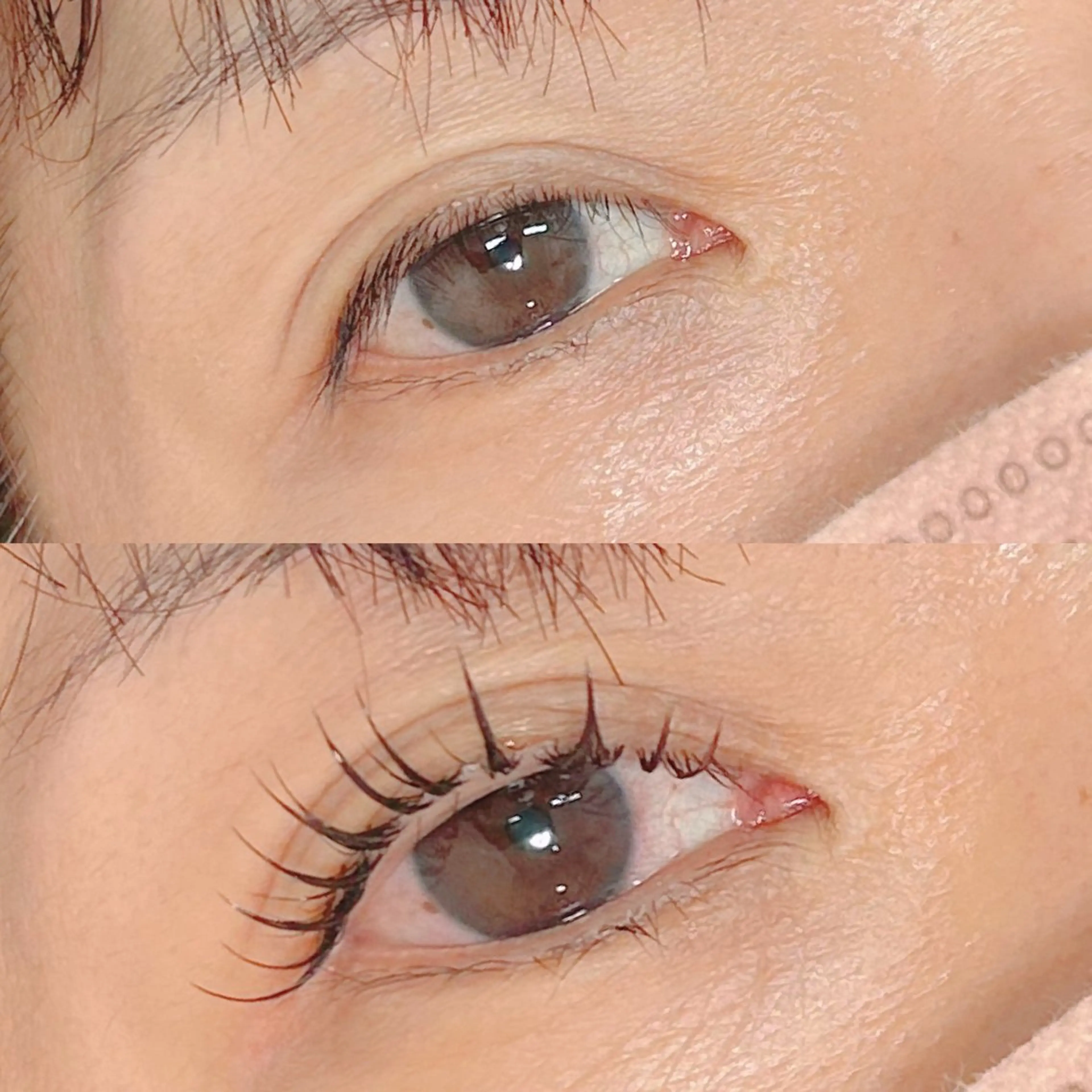 ãããšã¯ã»ããã ããã ððŒððð ððžðâã®ãããšã¯ã»ããããã¶ã€ã³