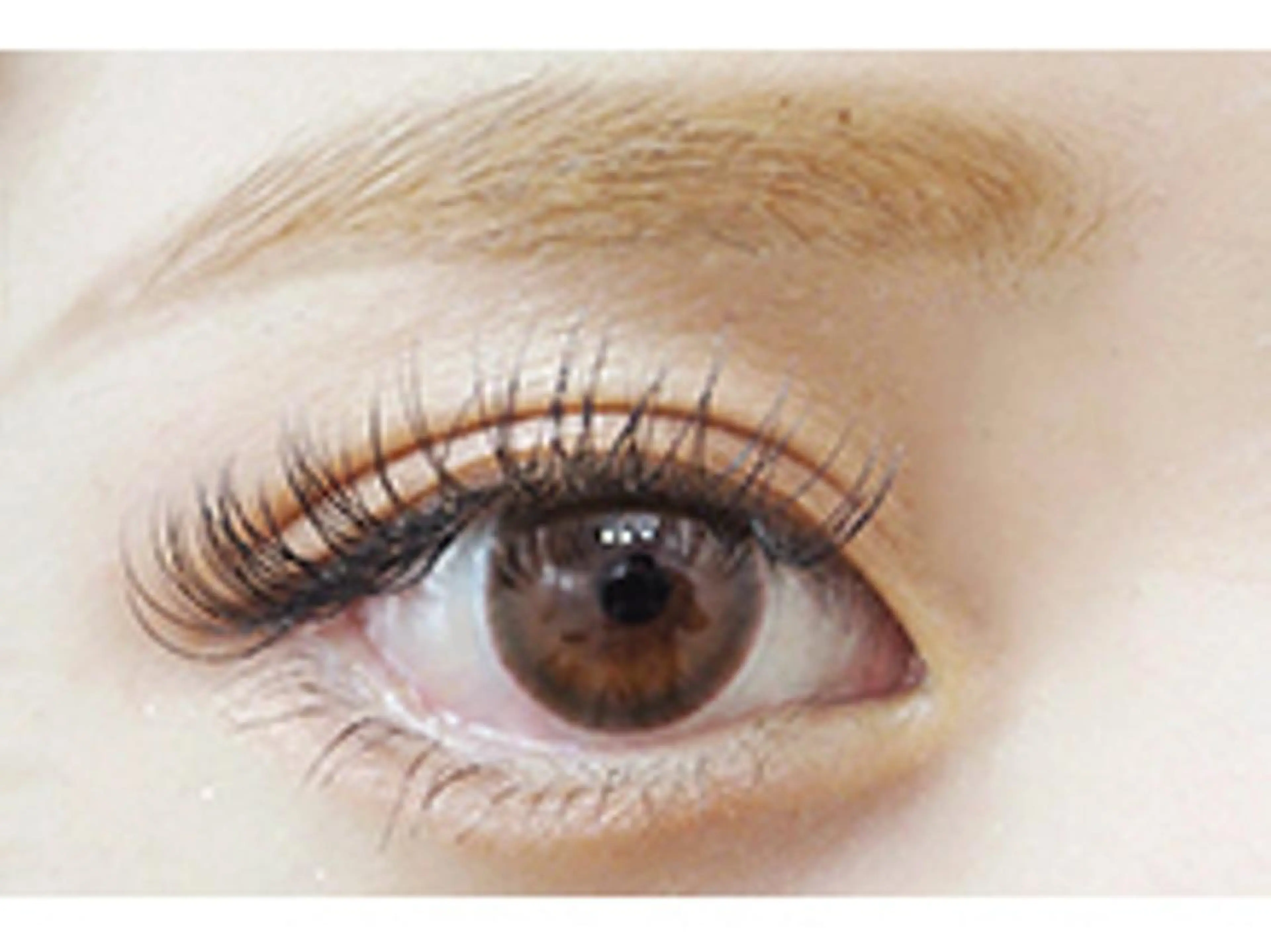 マツエク・マツパ 付け放題 Dカール セーブル glee 川口駅前店のマツエク・マツパデザイン