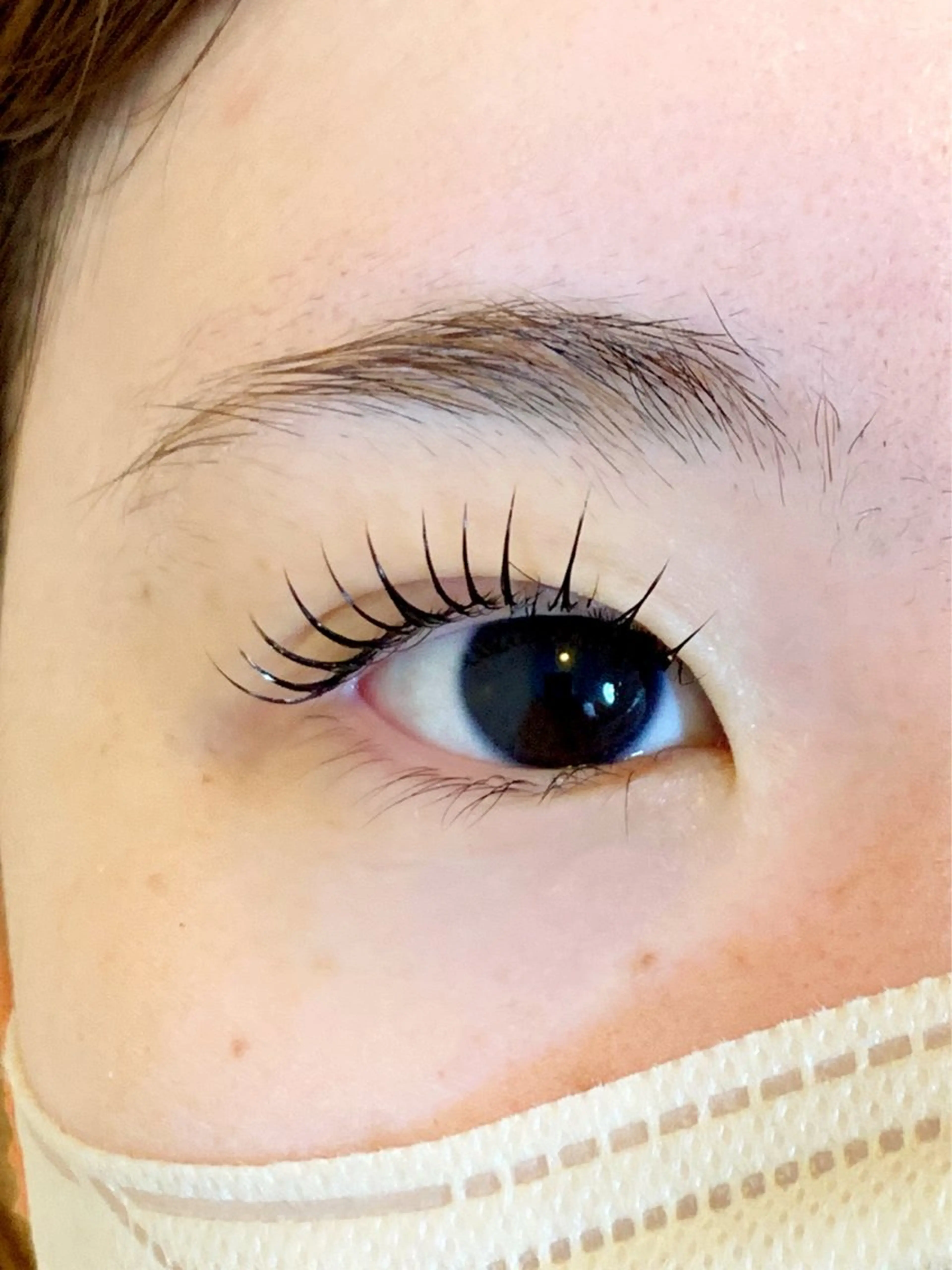 マツエク・マツパ エクステ/眉/LED peTiT堀口のマツエク・マツパデザイン