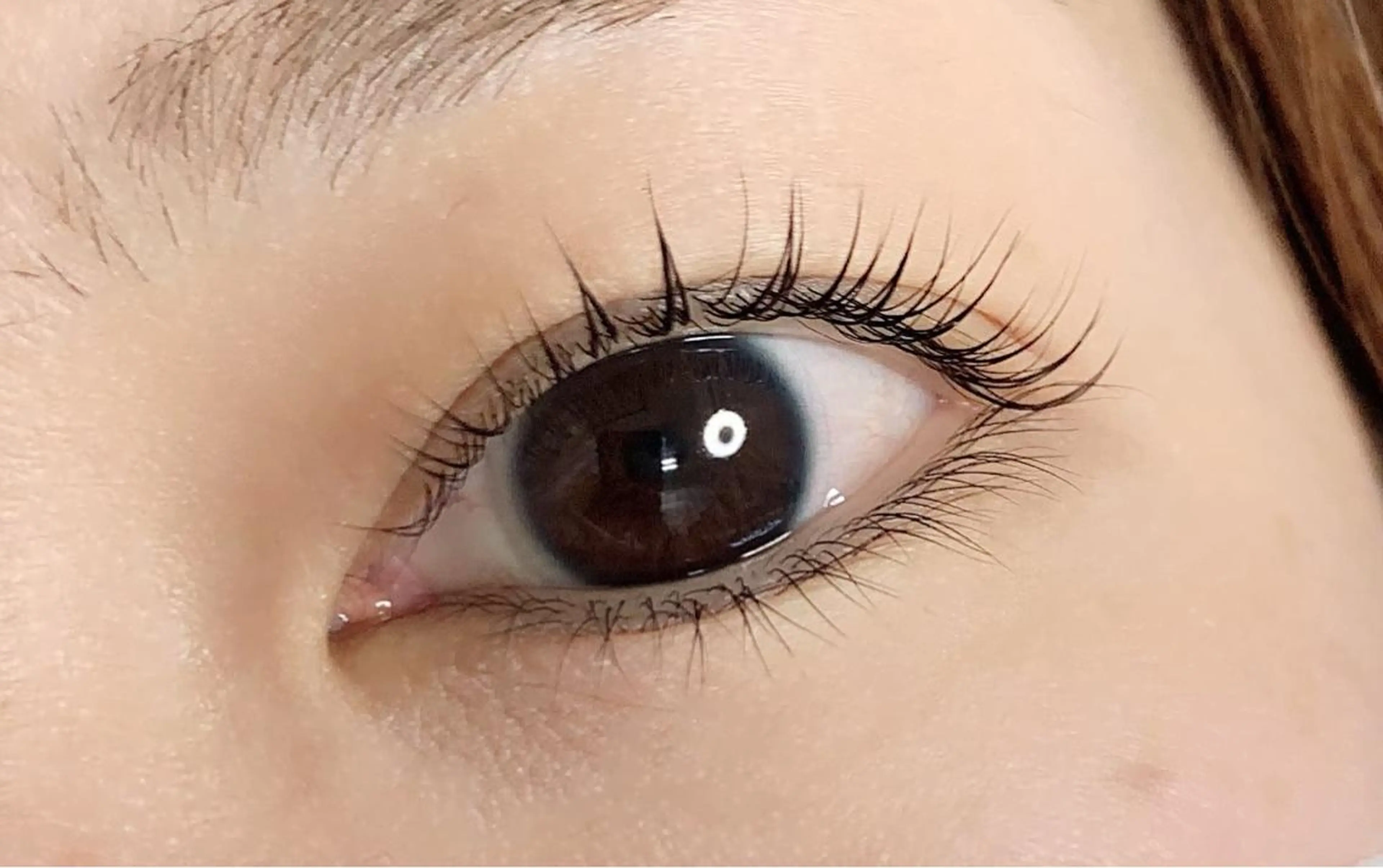 マツエク・マツパ eyelash  salon fまつエク・まつげパーマ【フランク】所属・eyelash f　香里園のマツエク・マツパデザイン