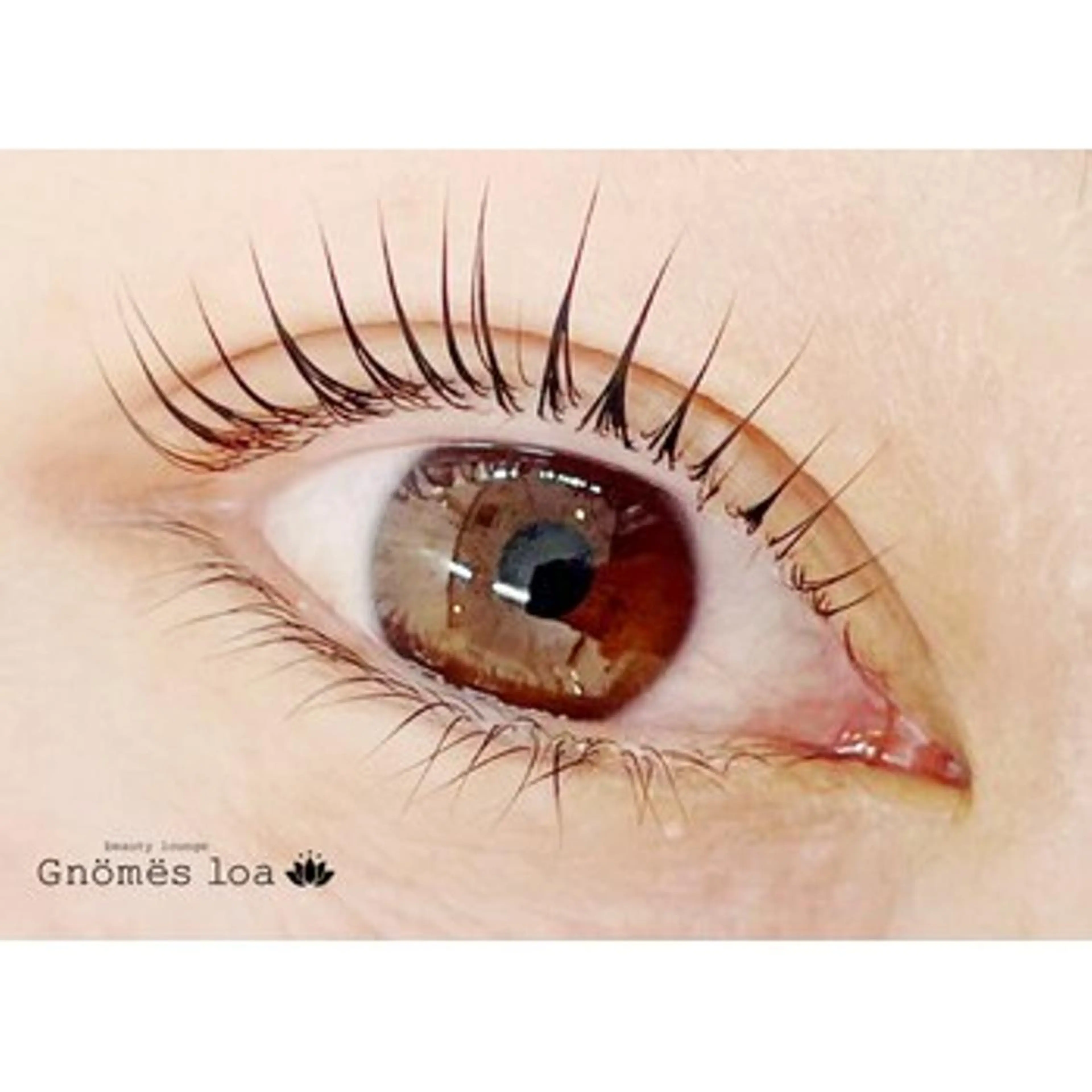 パリジェンヌラッシュリフト（オフなし）の写真