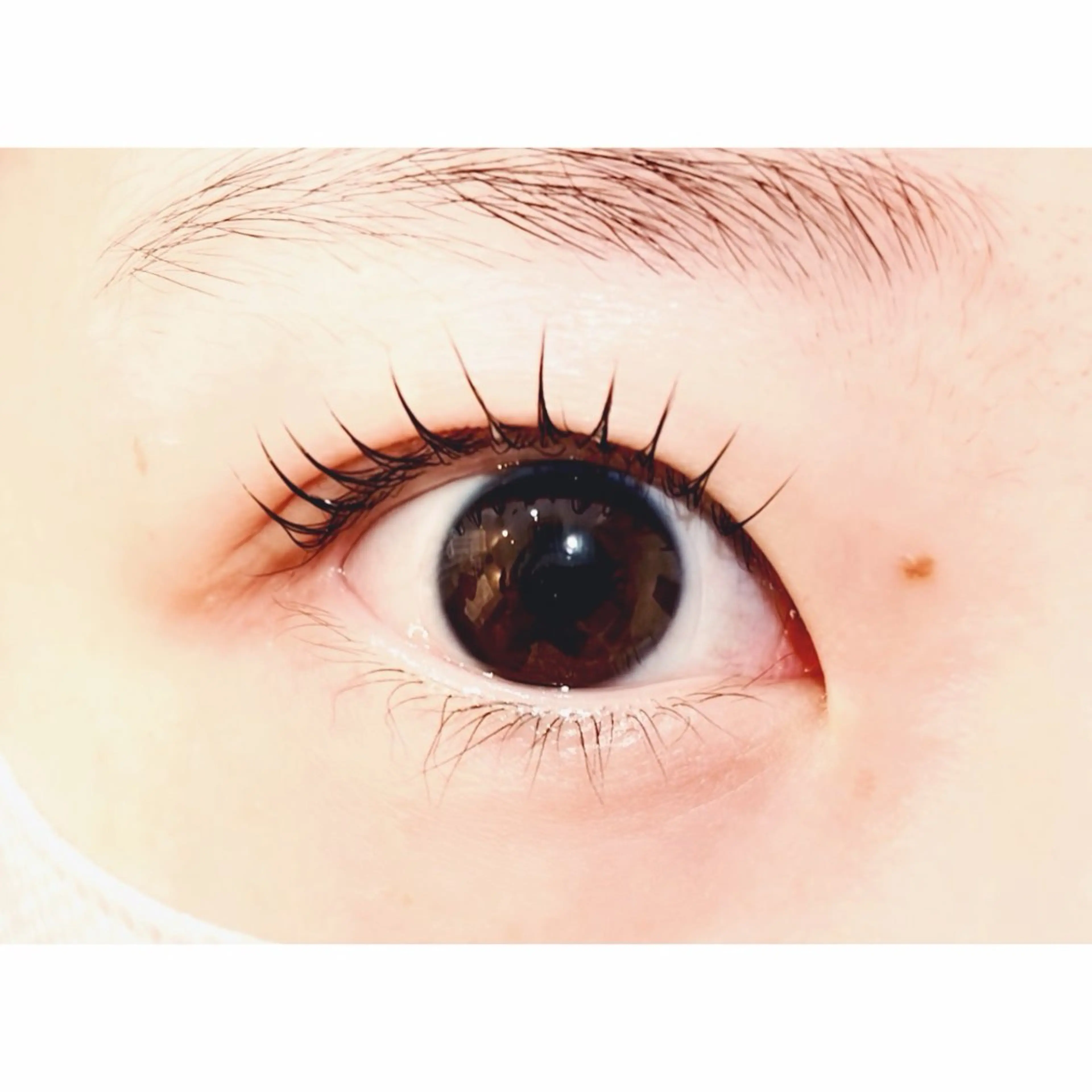 マツエク・マツパ マツパ handa kiyokaのマツエク・マツパデザイン