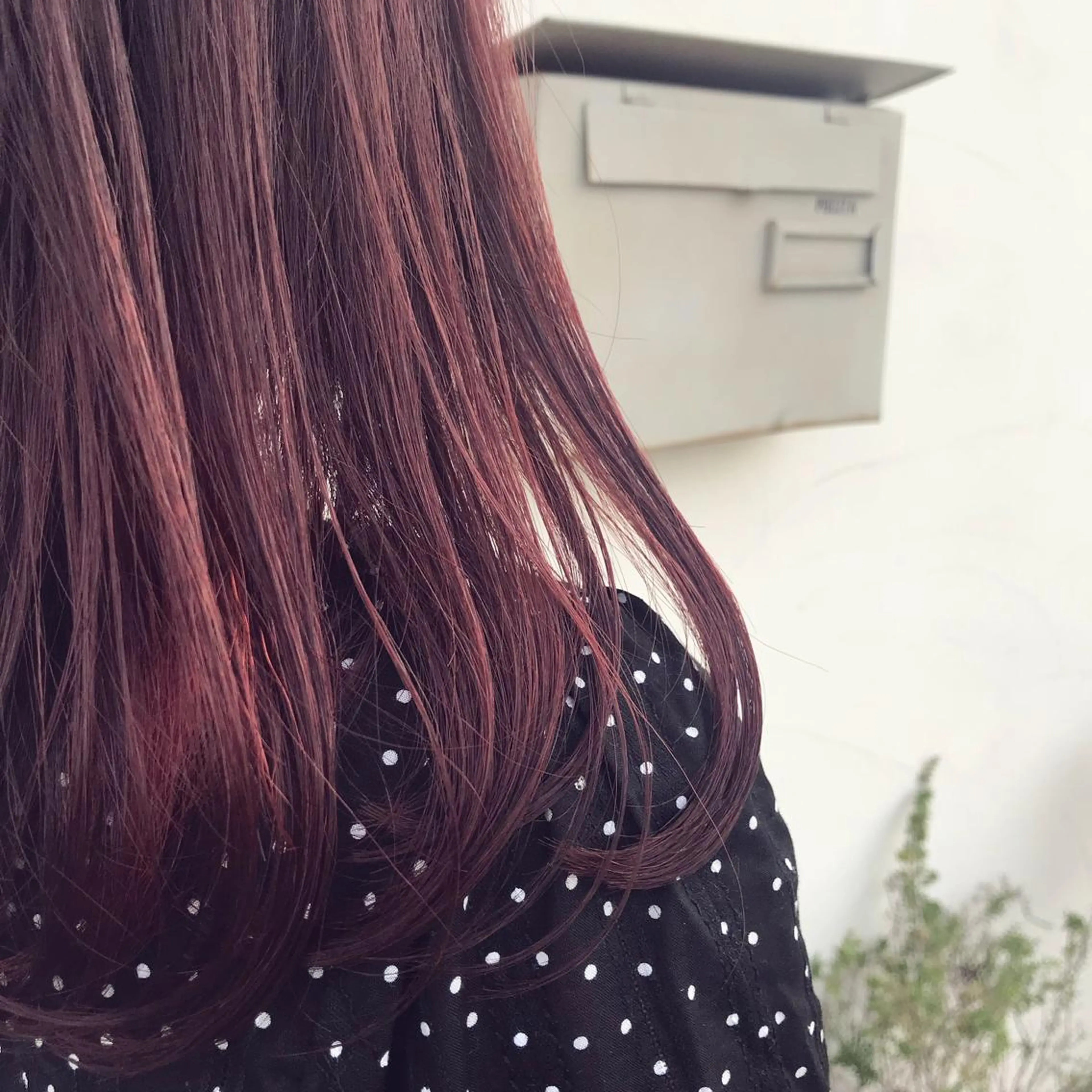 ミディアム カラー ピンクカラー バイオレットカラー バイオレットピンク Hair Musee   柱店所属・topstylist 吉住 早織のヘアスタイル