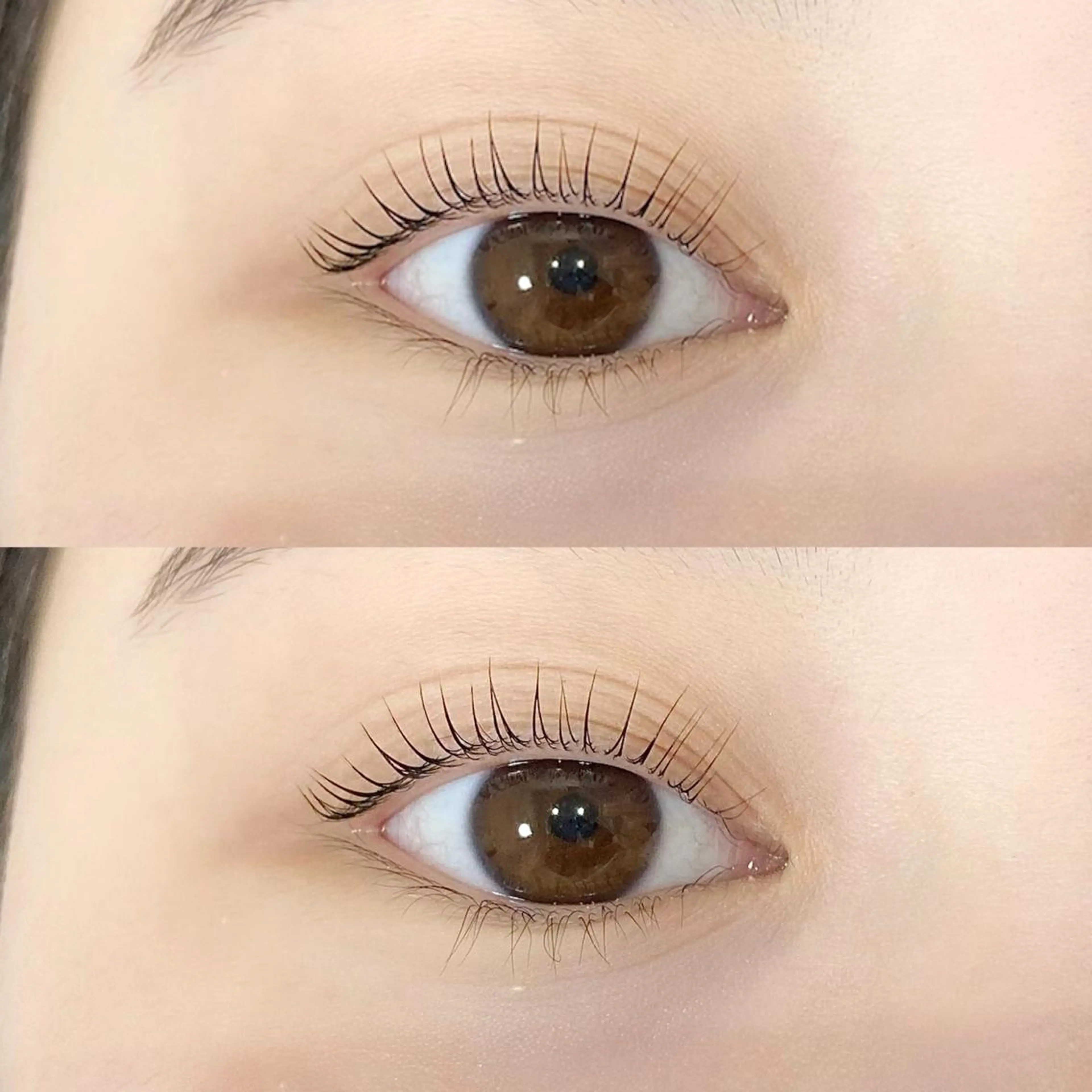 【人気No.1🪩】ケラチンラッシュリフト🤍の写真