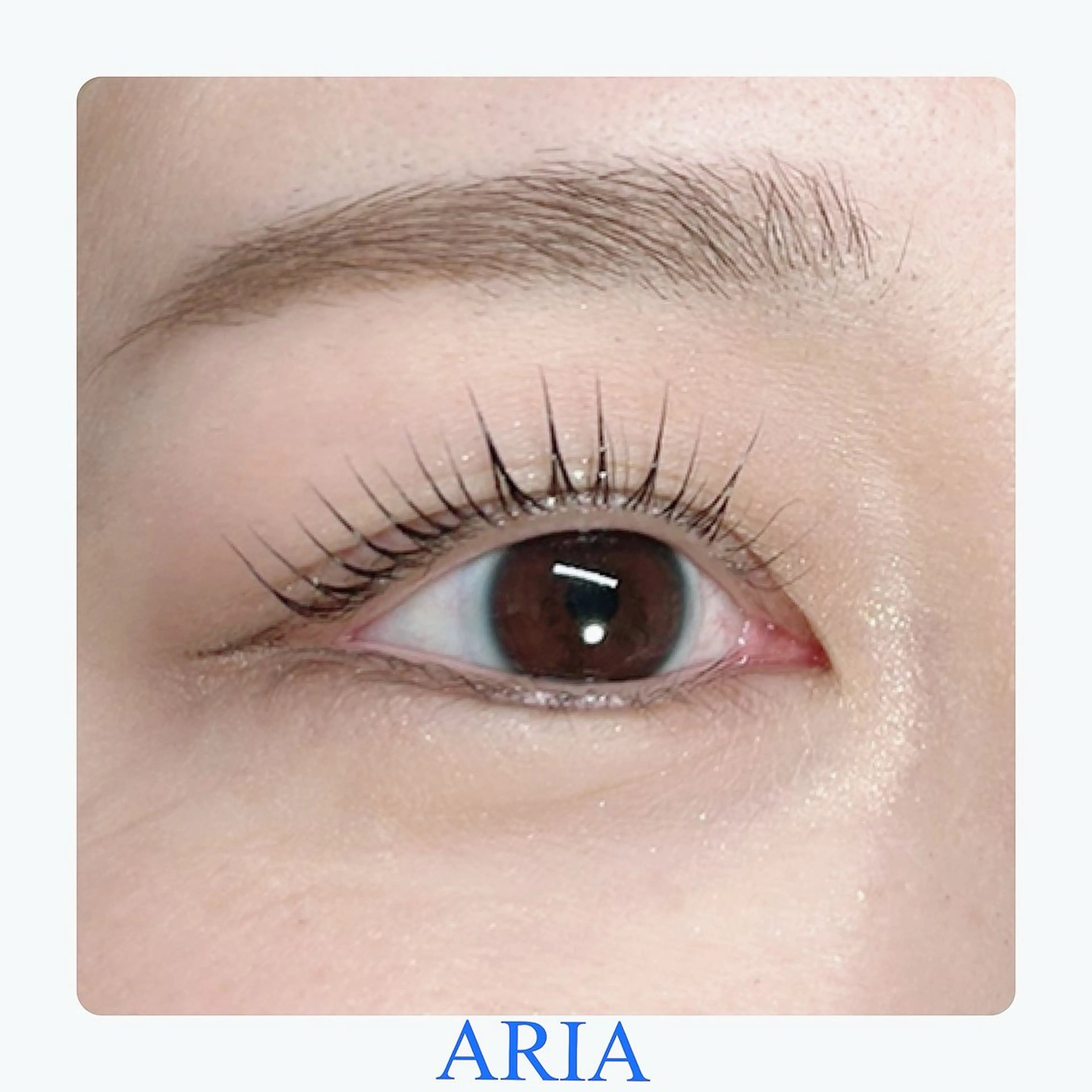 マツエク・マツパ まつげパーマ マツパ ARIA所属・ARIAプライベート サロン五反田のマツエク・マツパデザイン