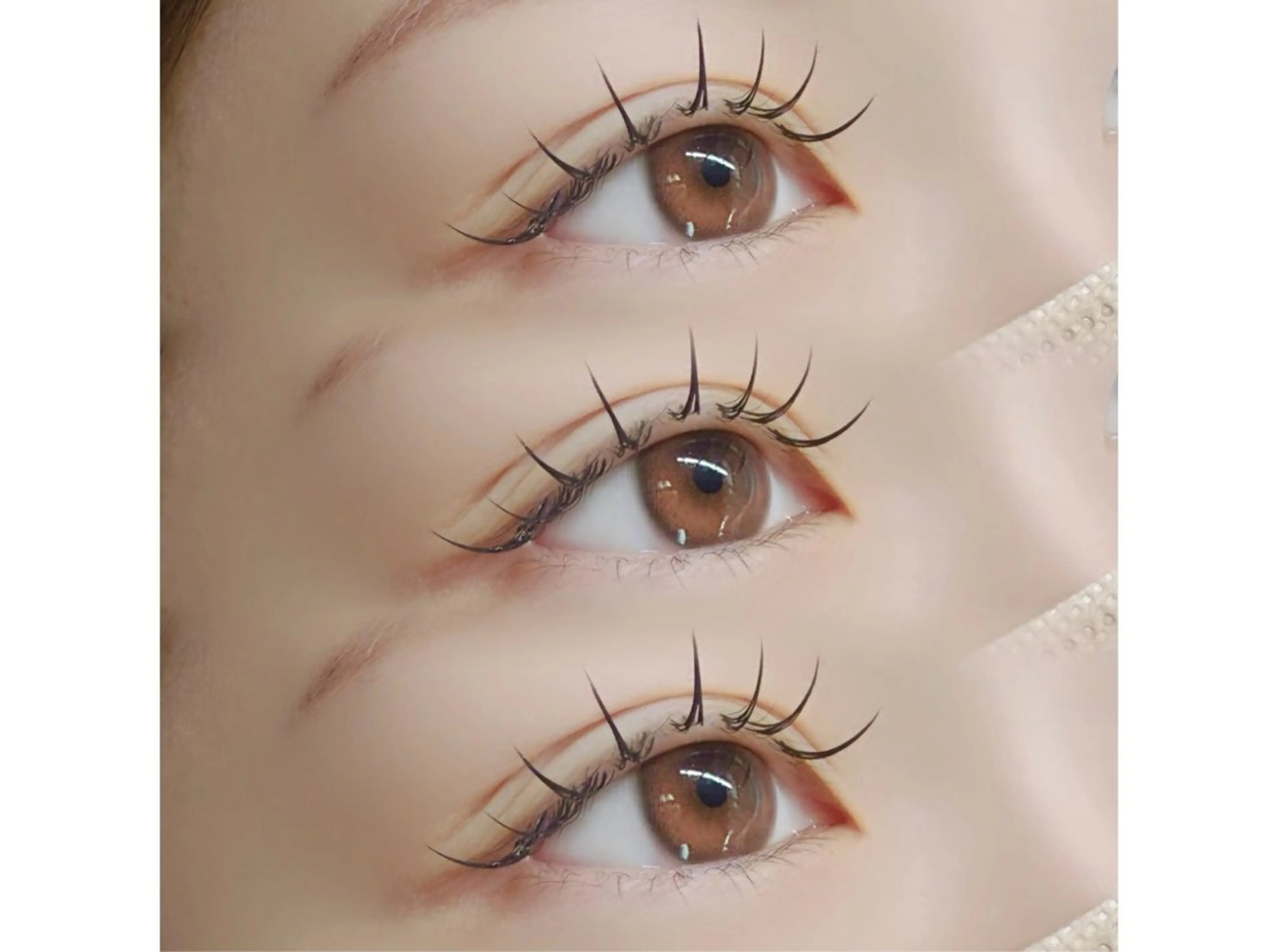 🦋ダブルフラットラッシュ🦋【半額sele】の写真