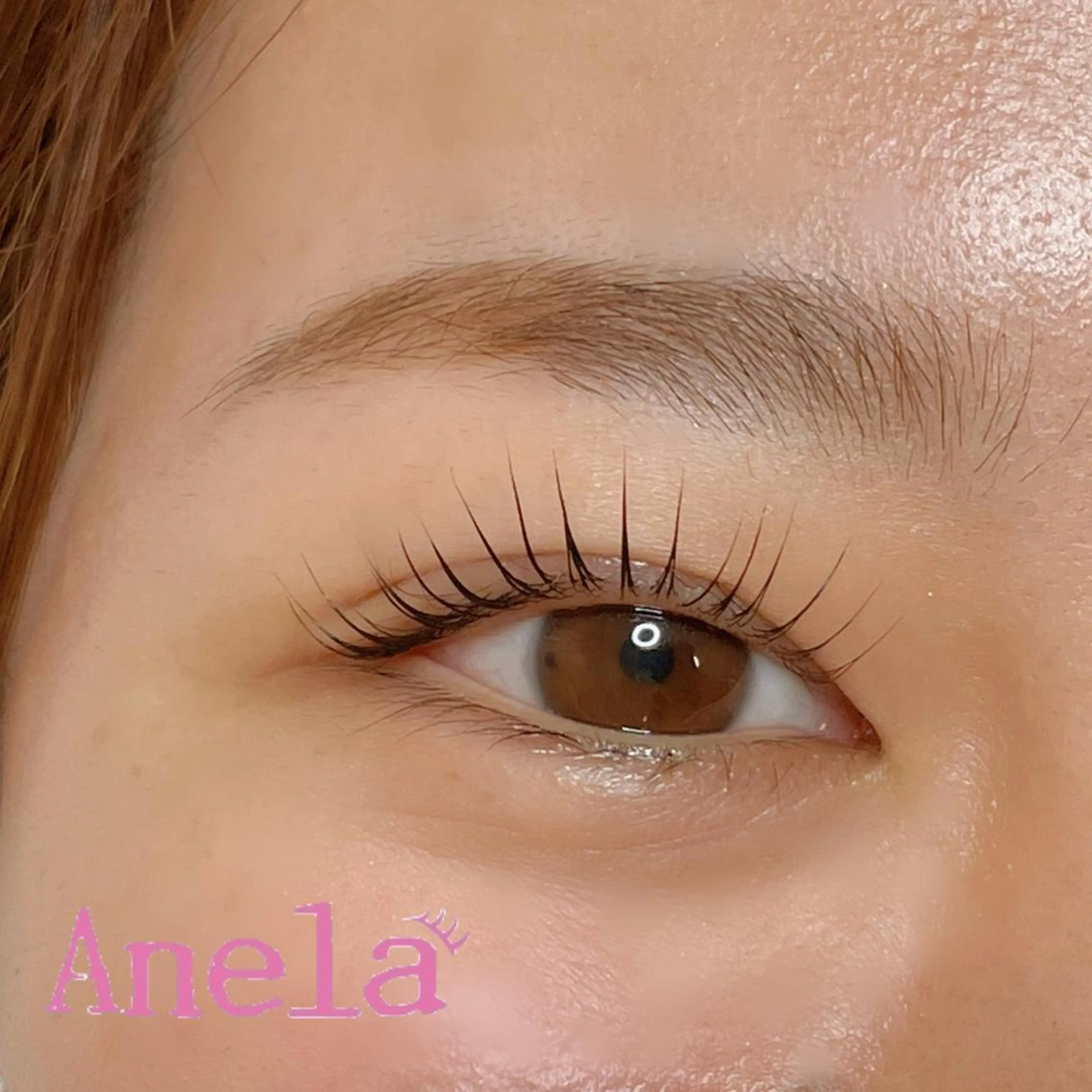 🎀当日予約限定クーポン🎀パリジェンヌラッシュリフトの写真