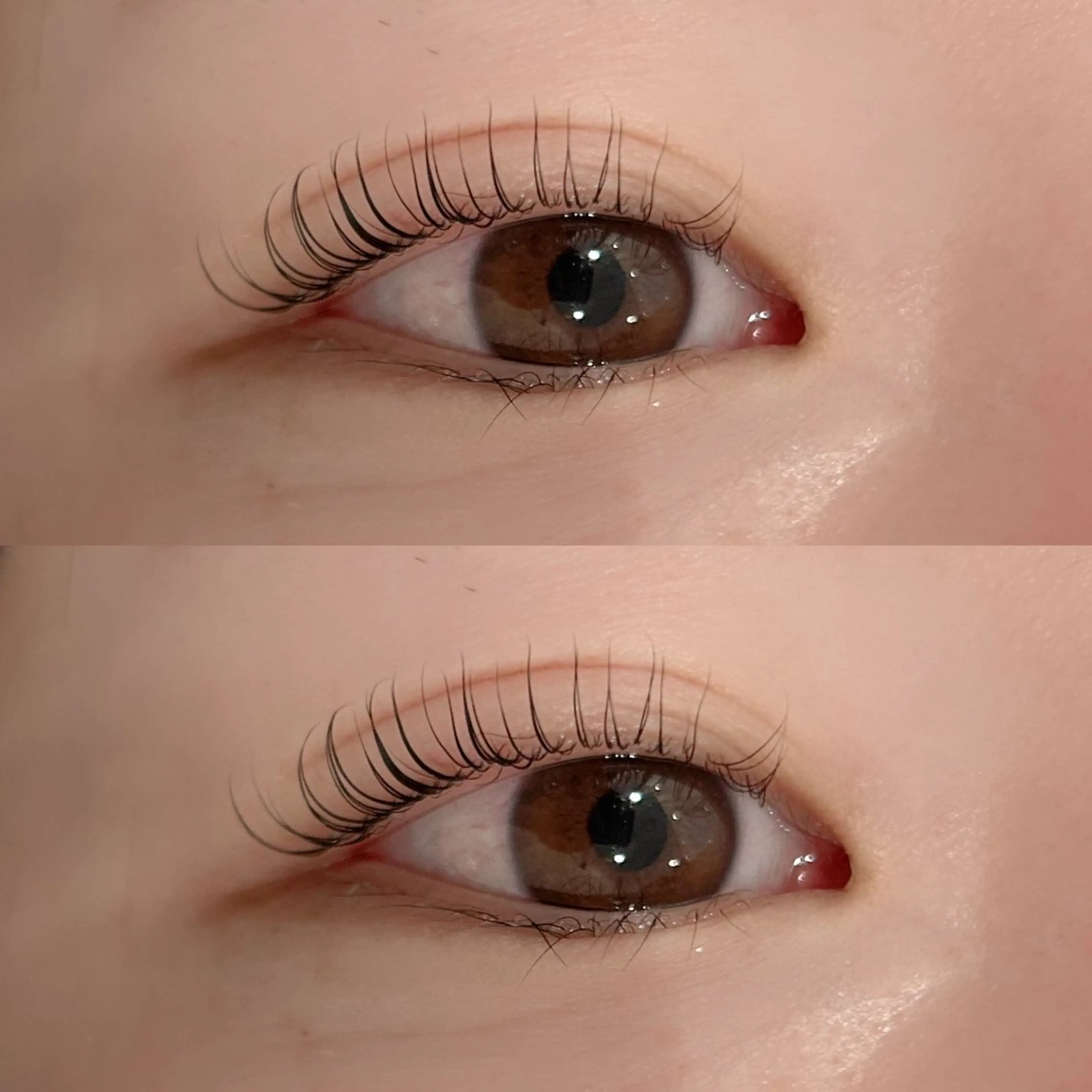 マツエク・マツパ Daisy Lash /天王寺✨樫井美波のマツエク・マツパデザイン