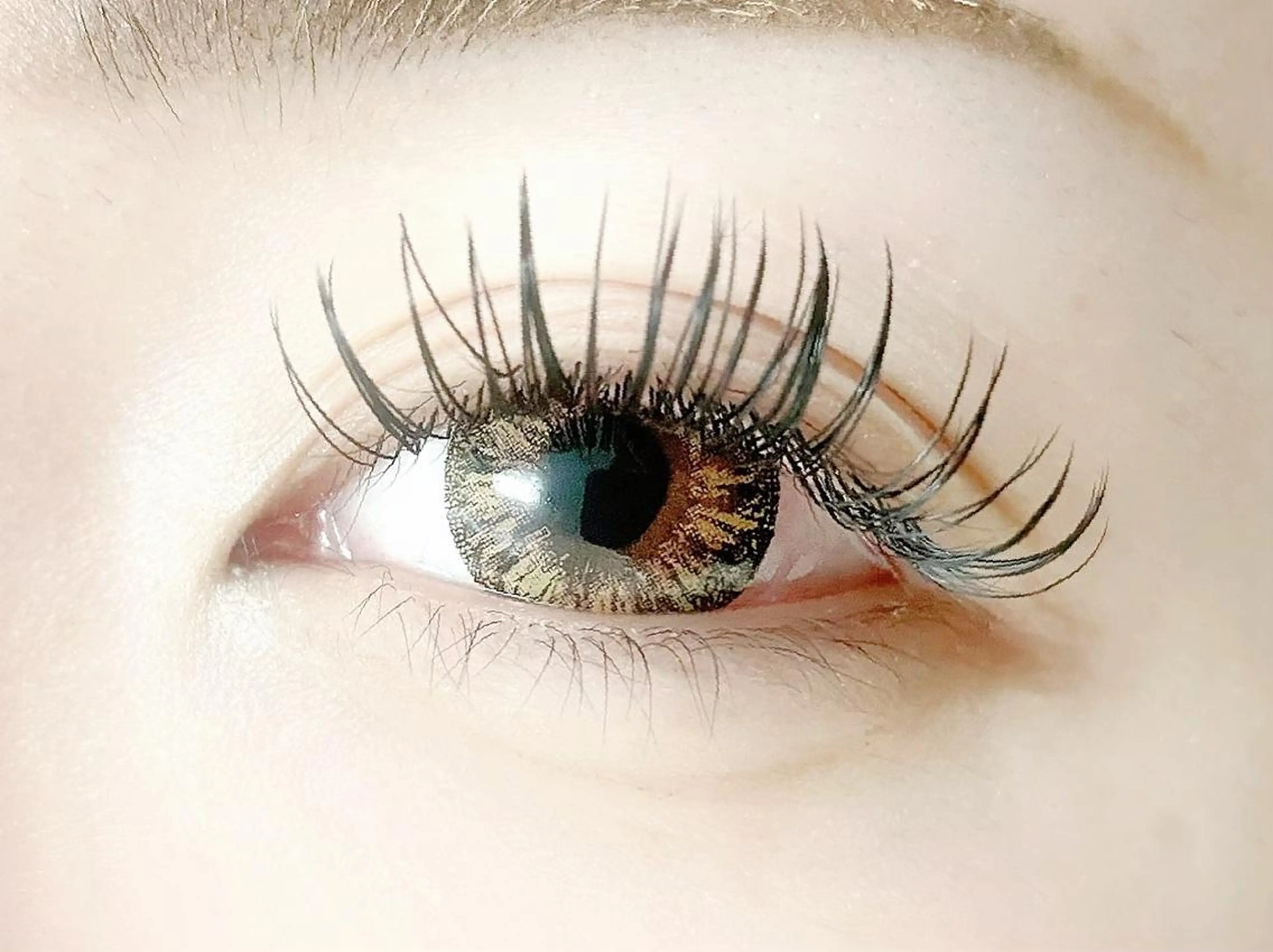 ダブルフラットラッシュ60束(120本)の写真