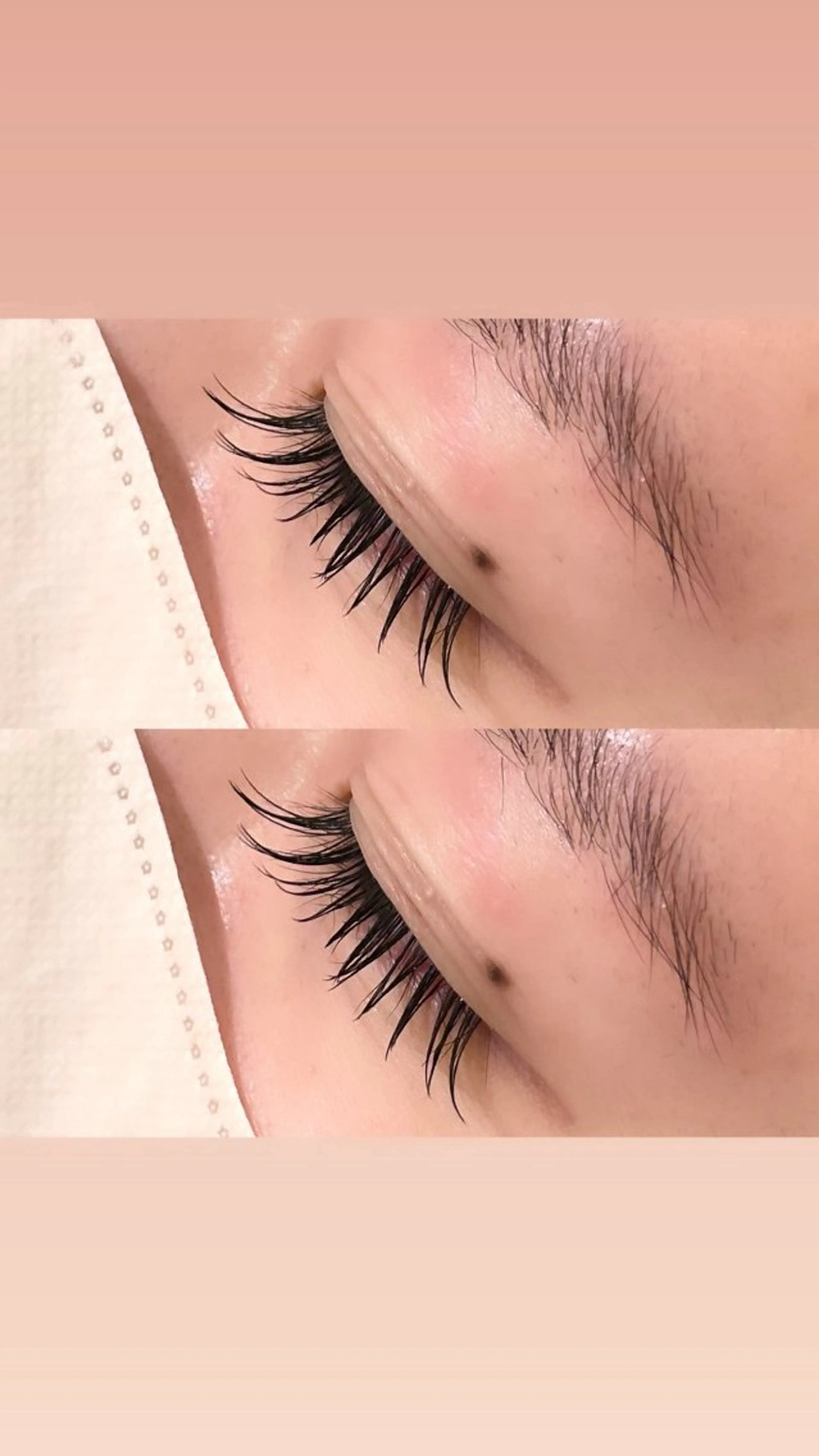 マツエク・マツパ Jカール ナチュラル セーブル Cils by une fleur所属・unefleur 𝑺𝑯𝑰𝑶💕のマツエク・マツパデザイン