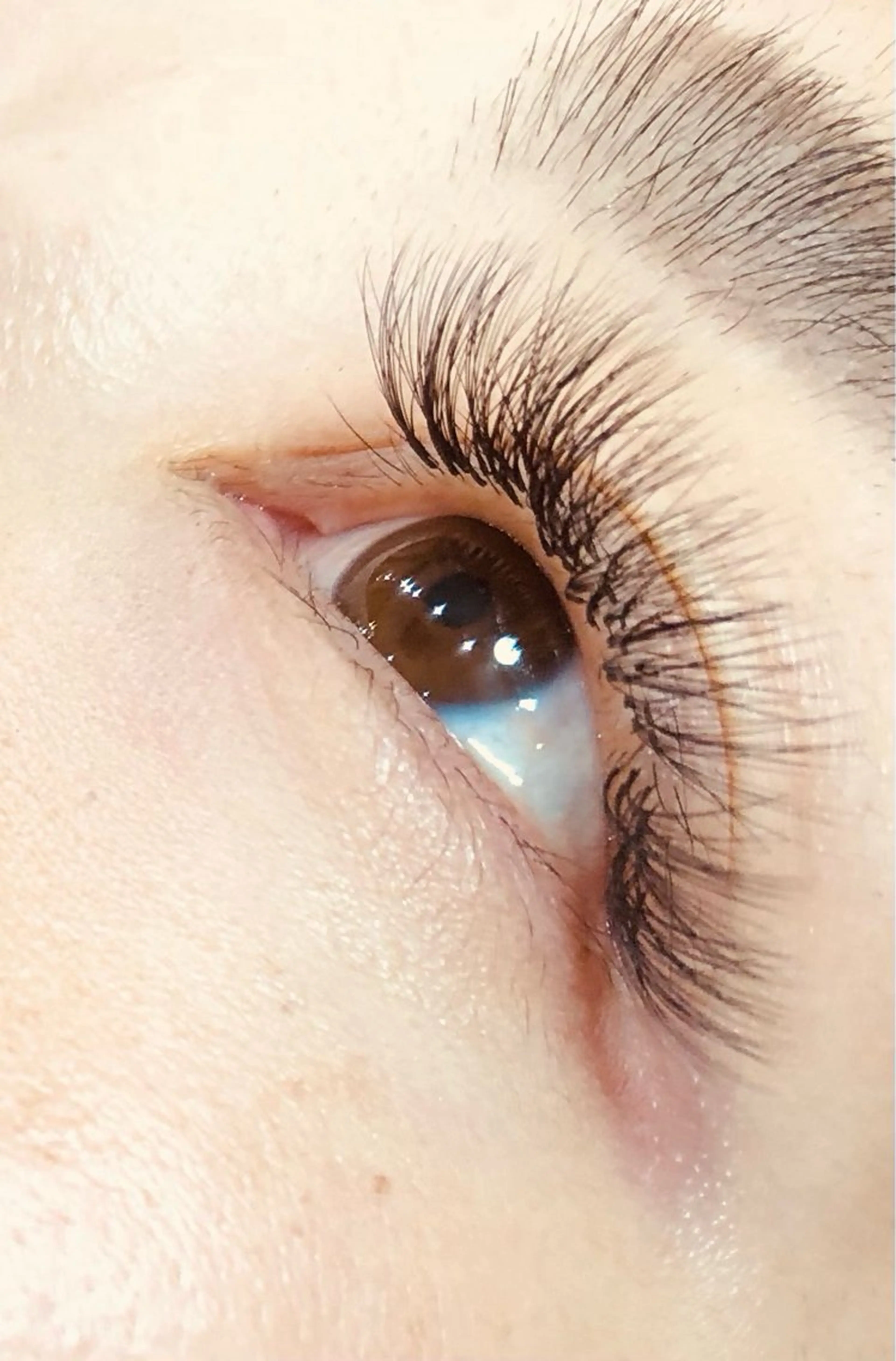 【11月限定】5Ｄ400本(80束)+カラー1色無料orオフ無料の写真