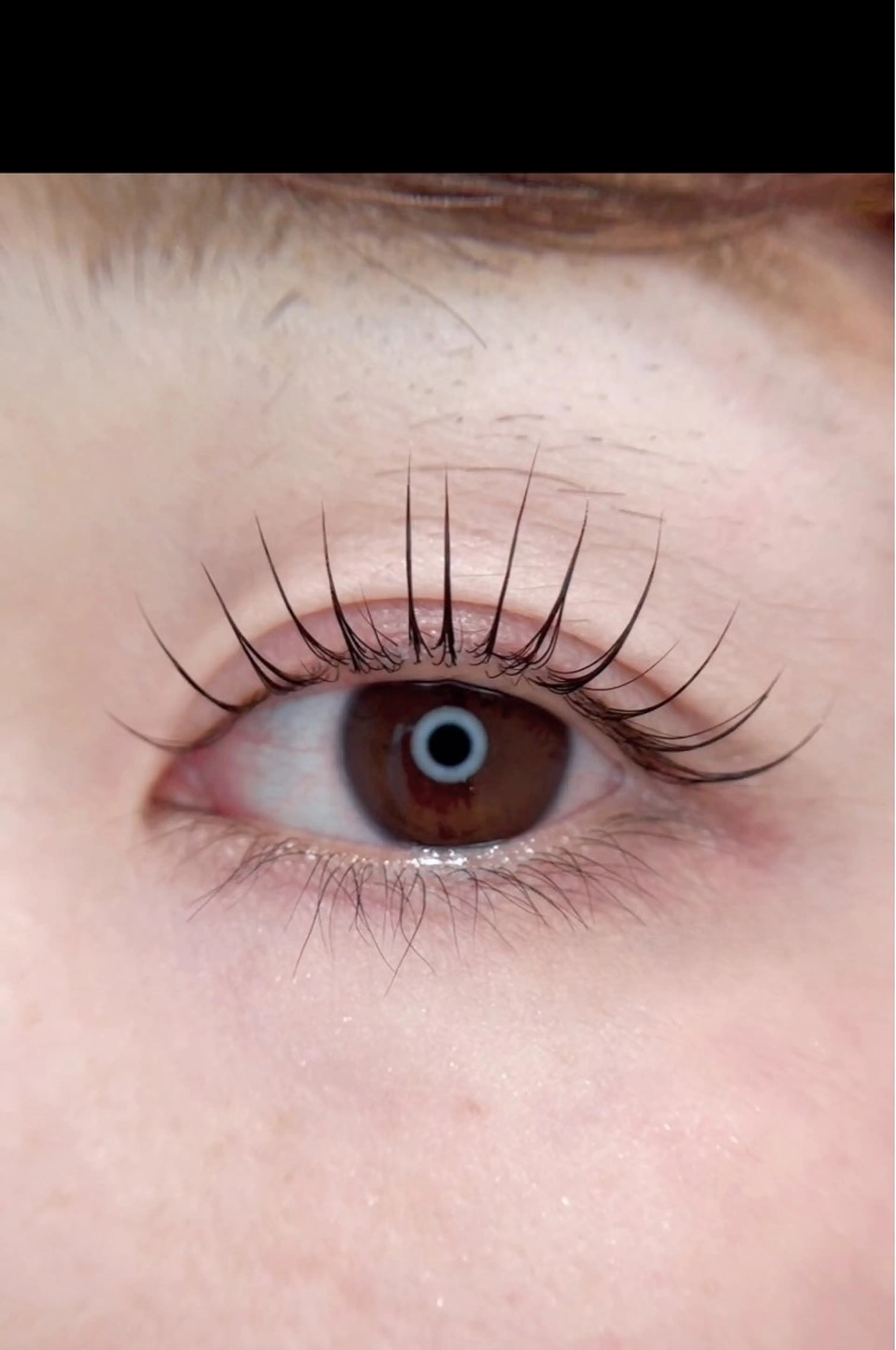 マツエク・マツパ Froh Ogasawaraのマツエク・マツパデザイン