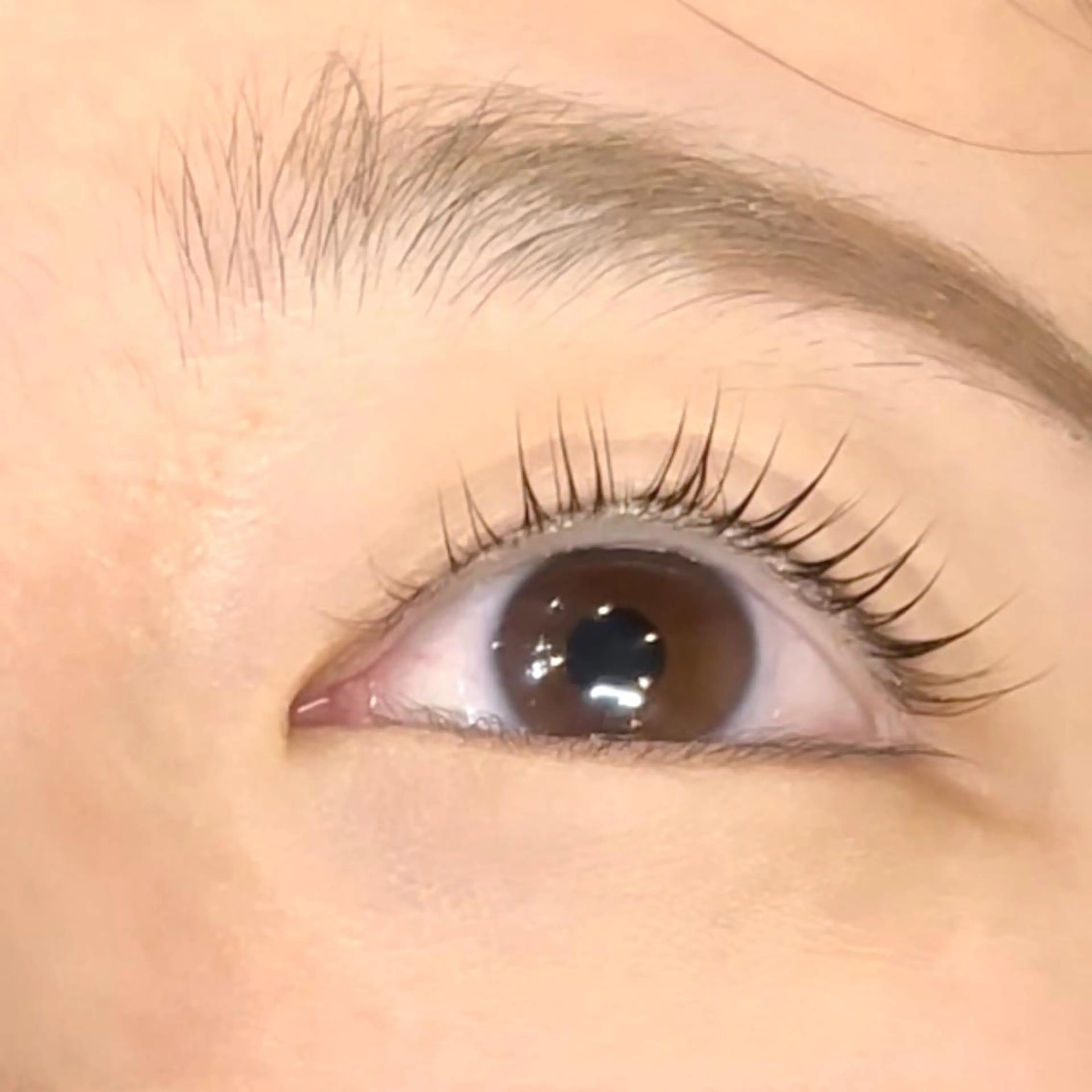 マツエク・マツパ まつげパーマ 🫧bianca ARAI🫧のマツエク・マツパデザイン