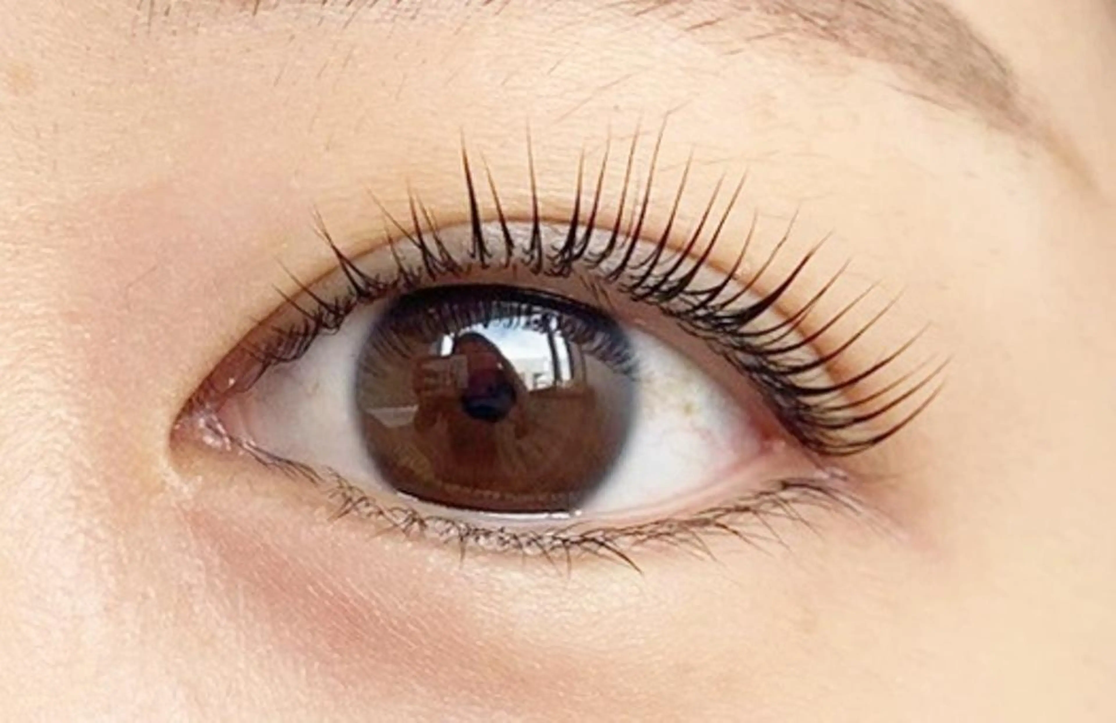 初回限定！ラッシュリフトお試し価格☆の写真