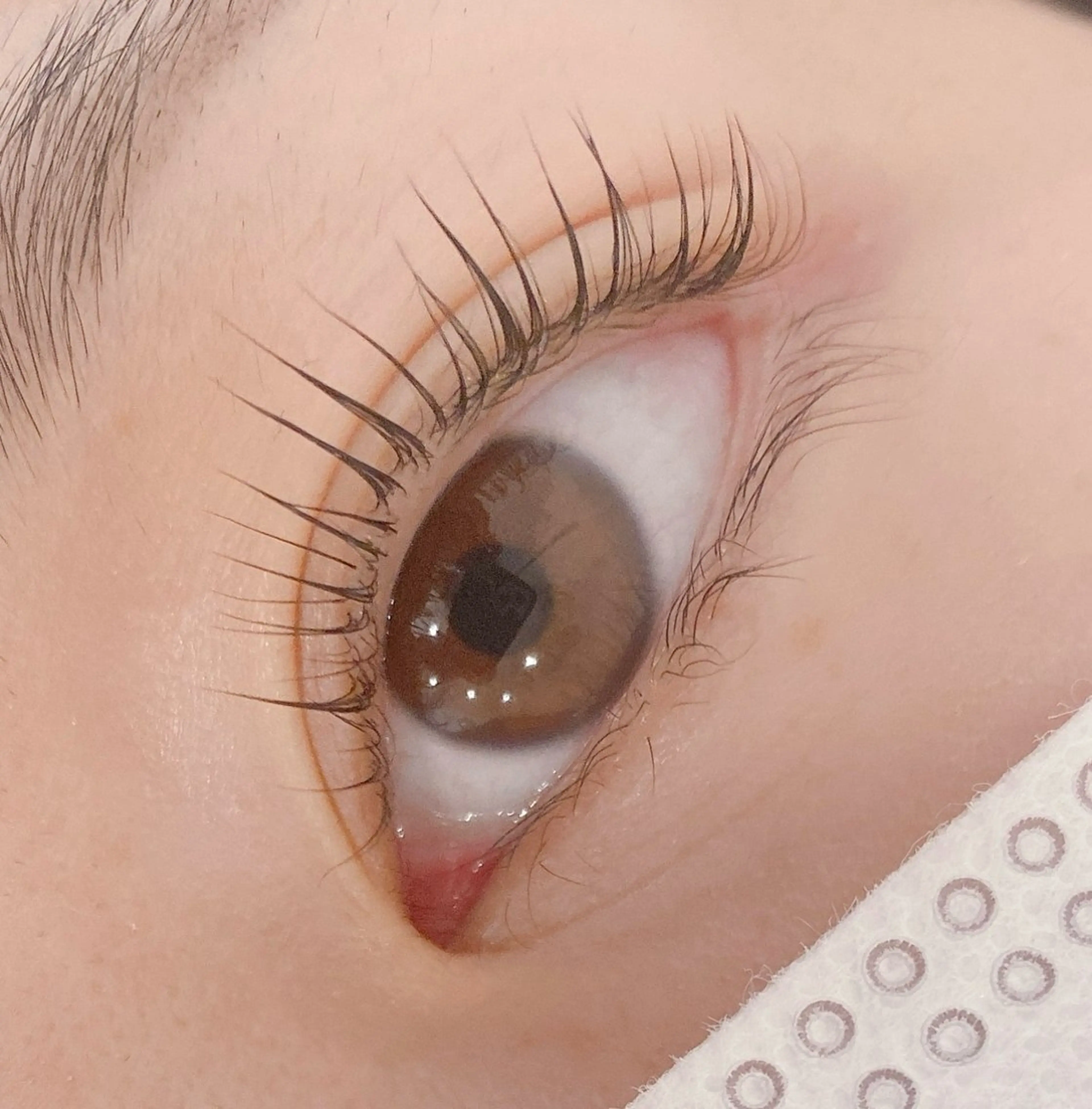 マツエク・マツパ マツパ ラブニールハトル🎀 yumaのマツエク・マツパデザイン