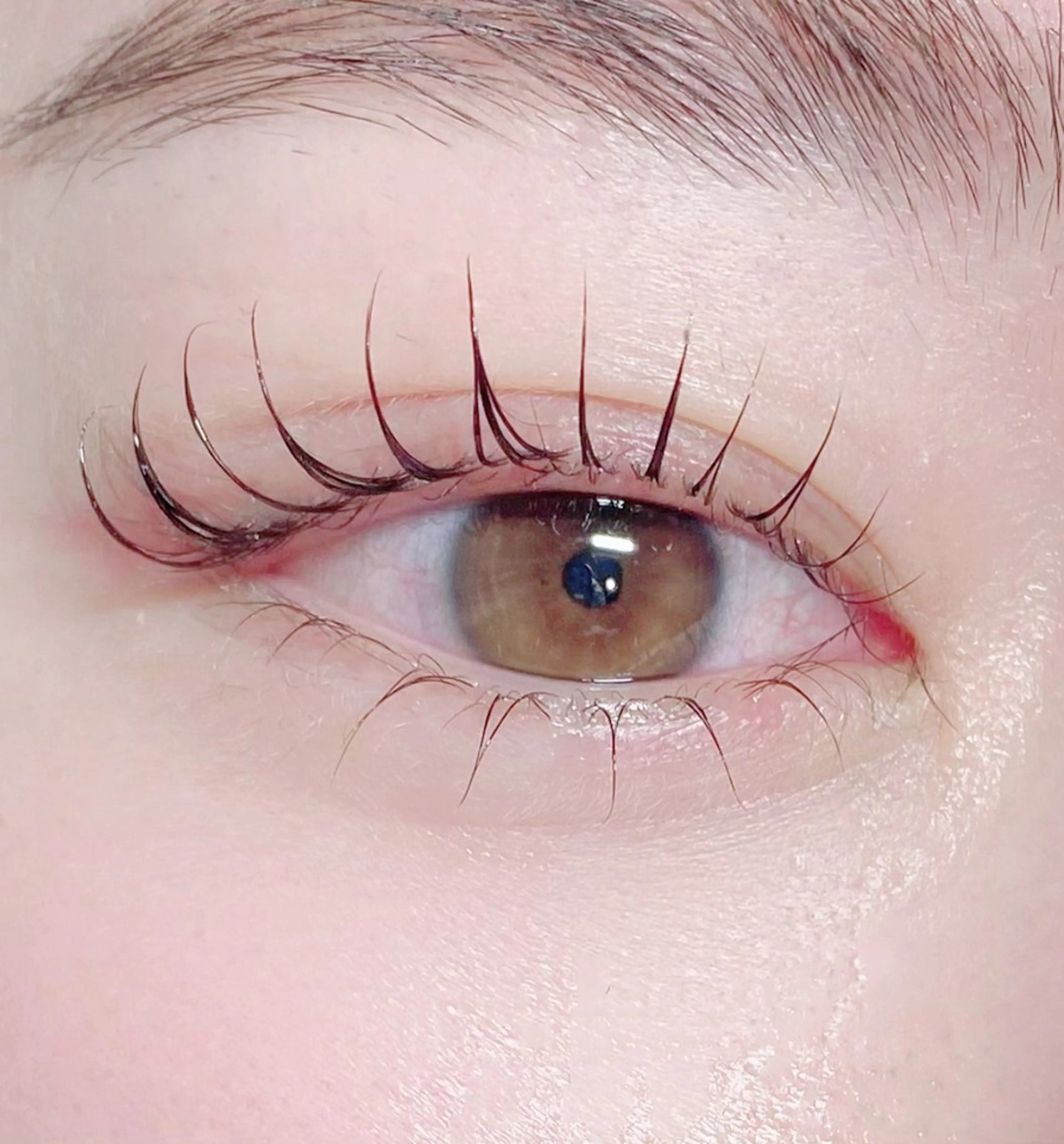 マツエク・マツパ 下まつげエクステ 一重×まつ毛パーマ RELAIR h所属・代々木❤︎まつぱ❤︎ フラット❤︎眉毛の眉毛・アイブロウイメージ