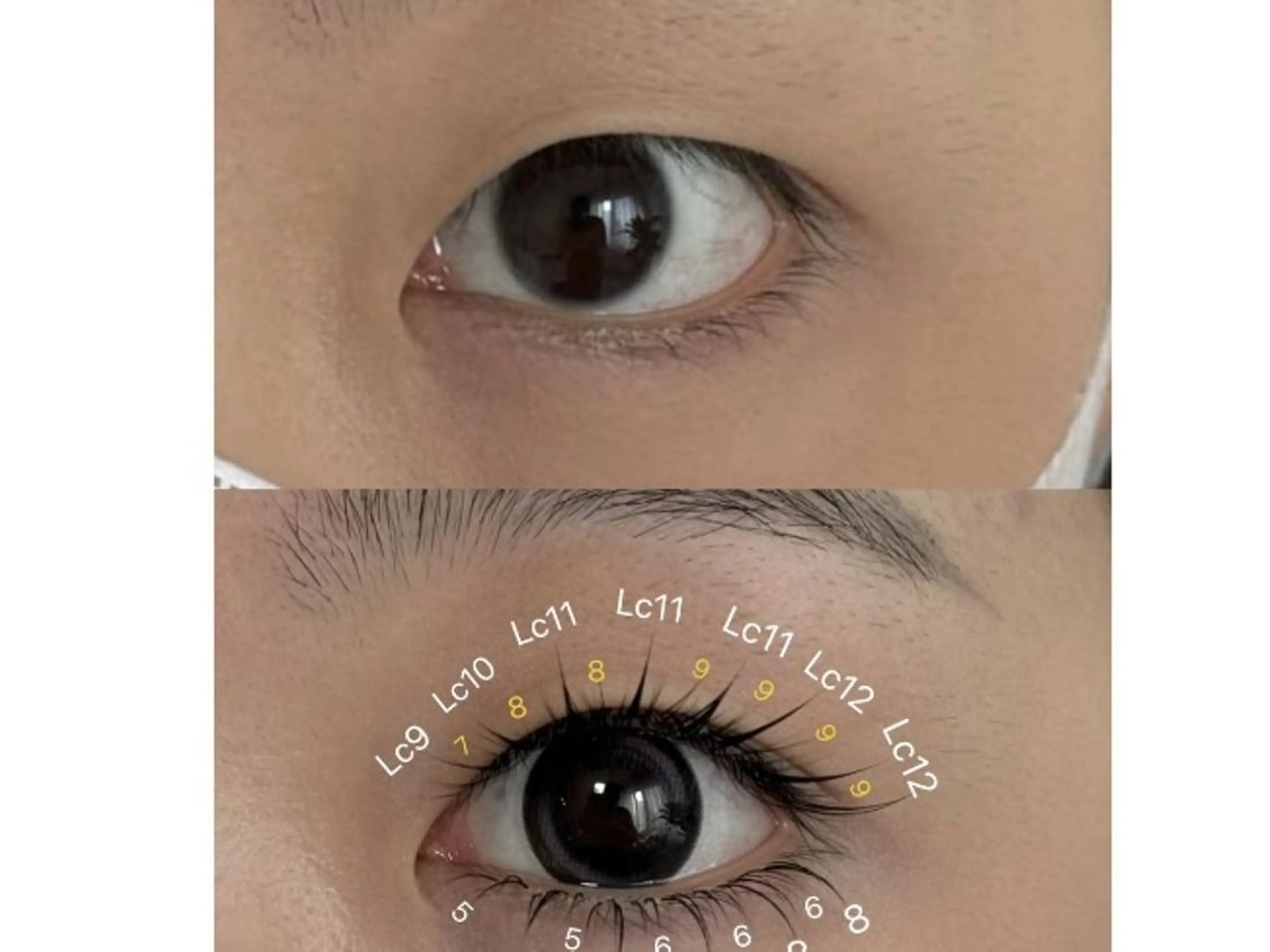 マツエク・マツパ @lunoa. _01のマツエク・マツパデザイン