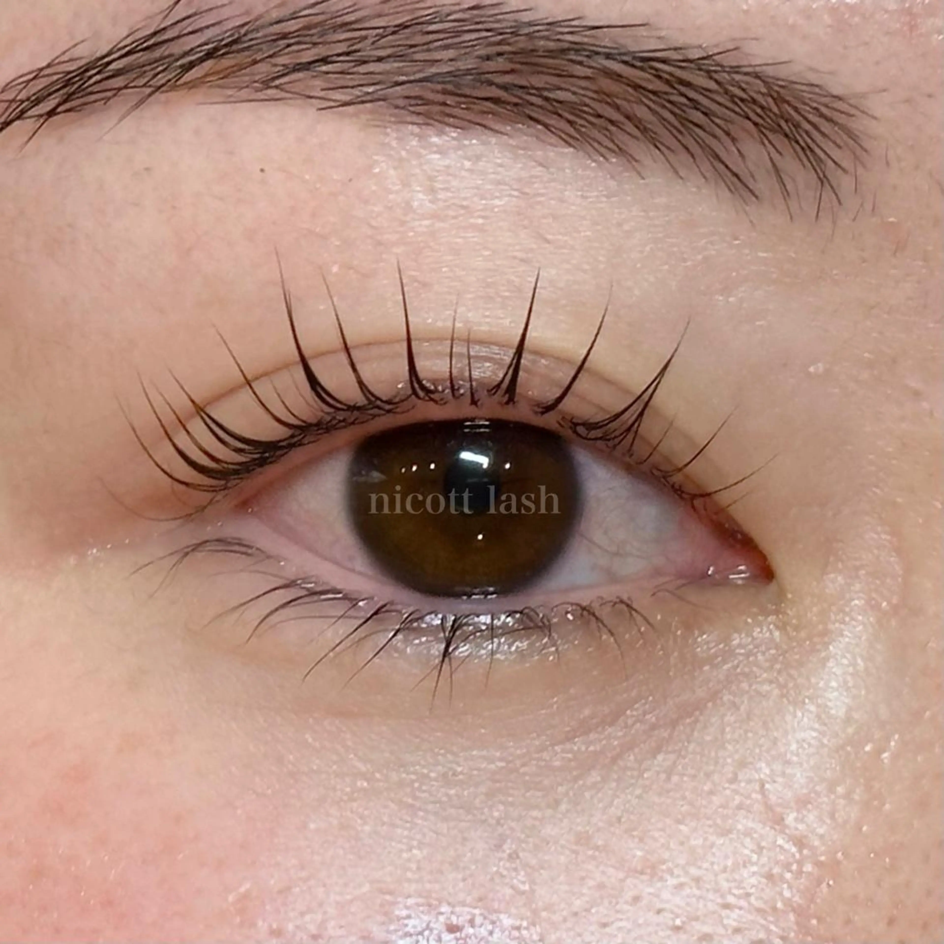 マツエク・マツパ nicott 篠田のマツエク・マツパデザイン