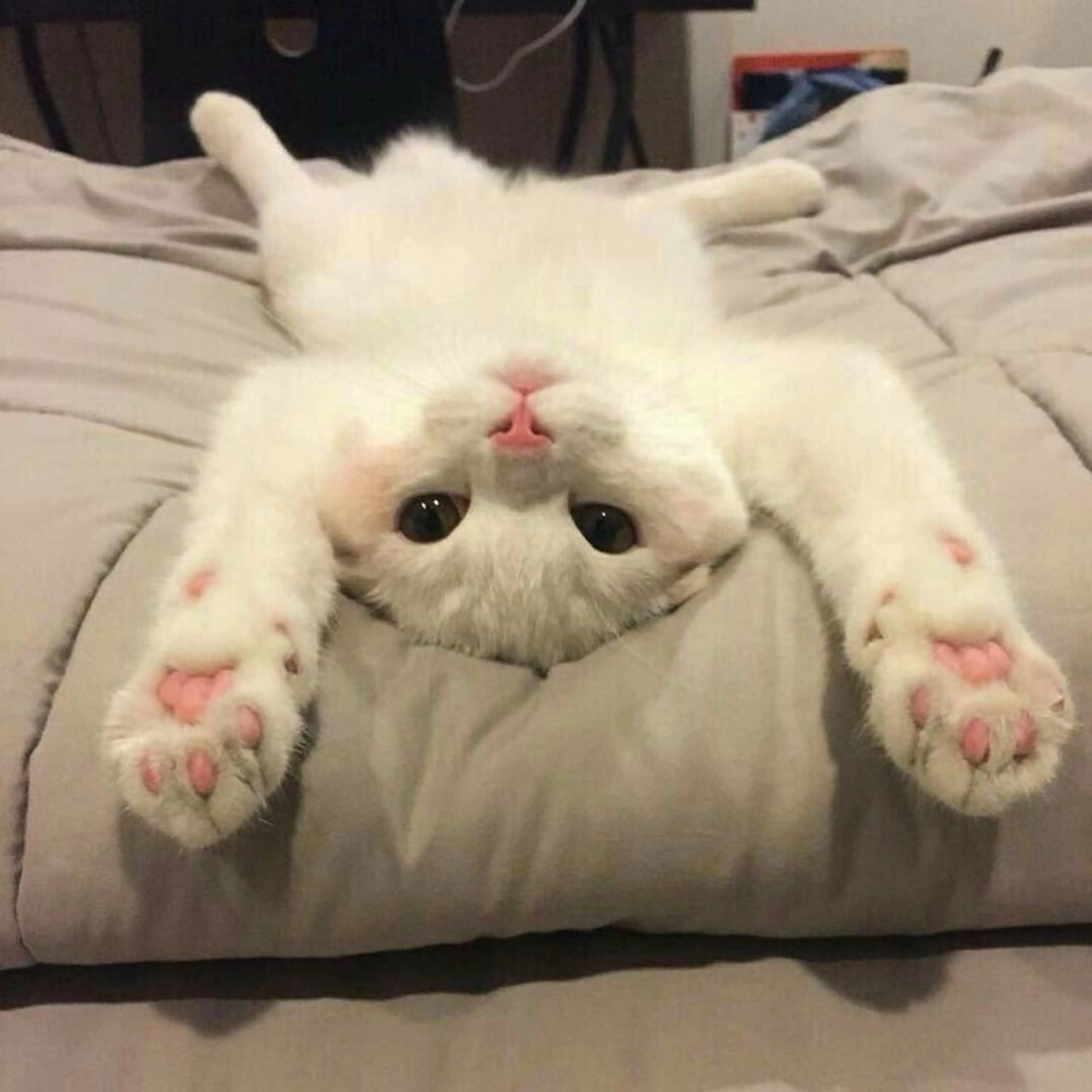 MARINO成田店 misakiのマツエク・マツパデザイン