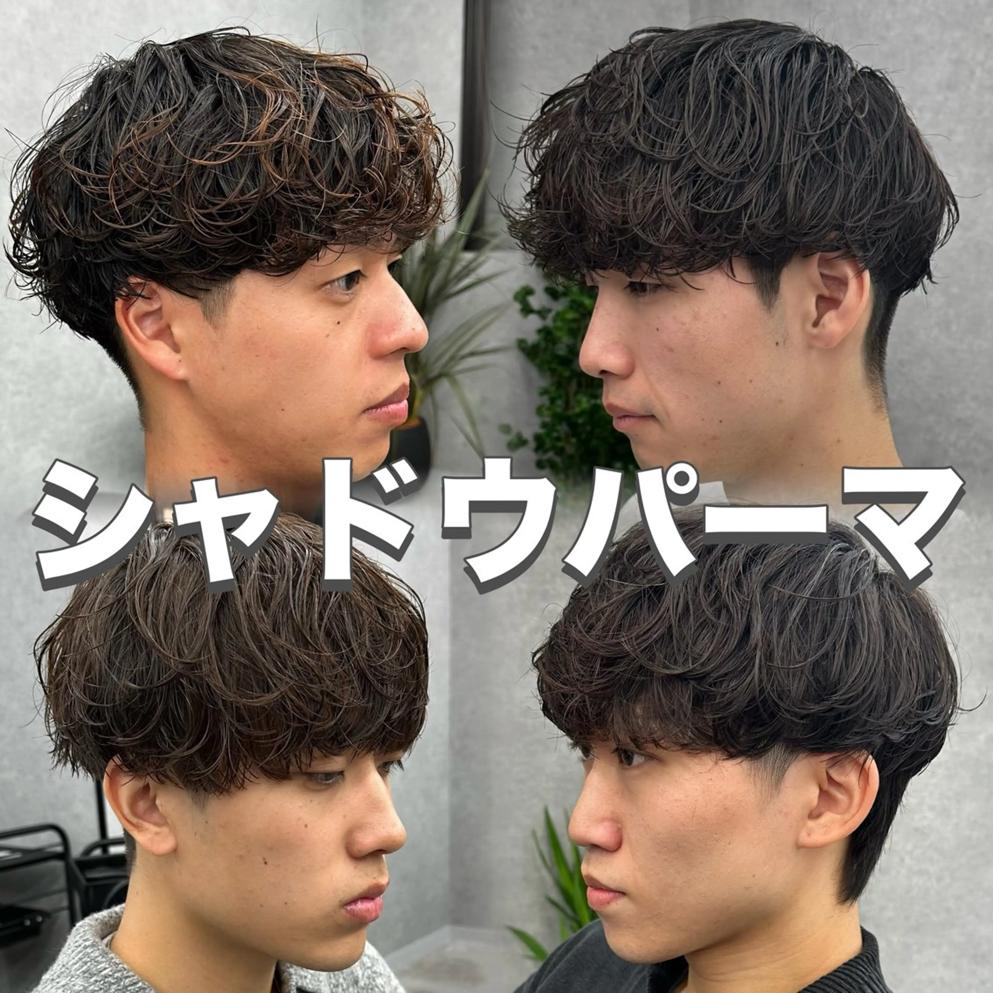 【u24限定】メンズカット＋シャドウパーマ＋保湿トリートメントの写真