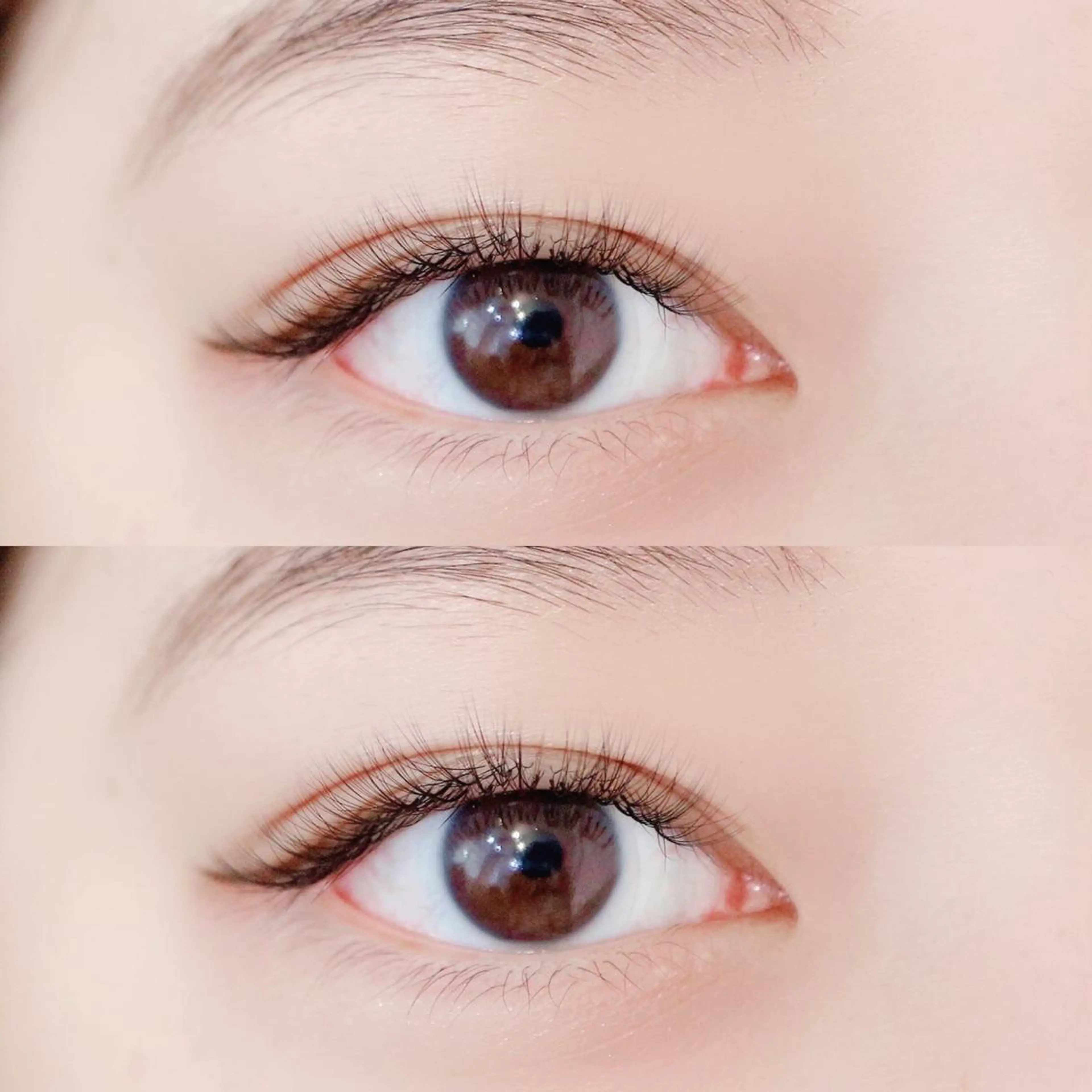 マツエク・マツパ ボリュームラッシュ マツエク FASTLASH🌹 パリジェンヌのマツエク・マツパデザイン