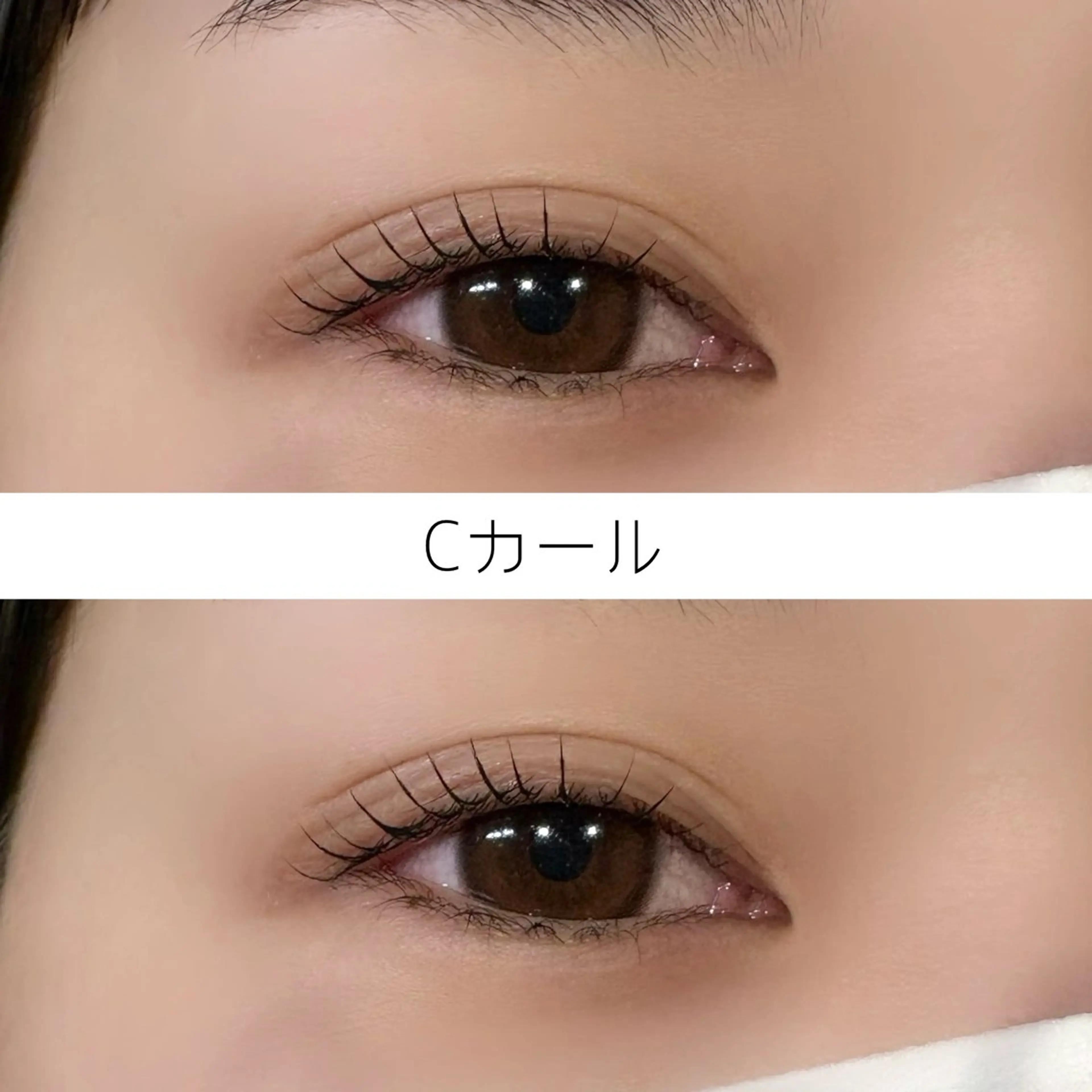 1/4~1/15限定【練習モデル】まつげパーマの写真