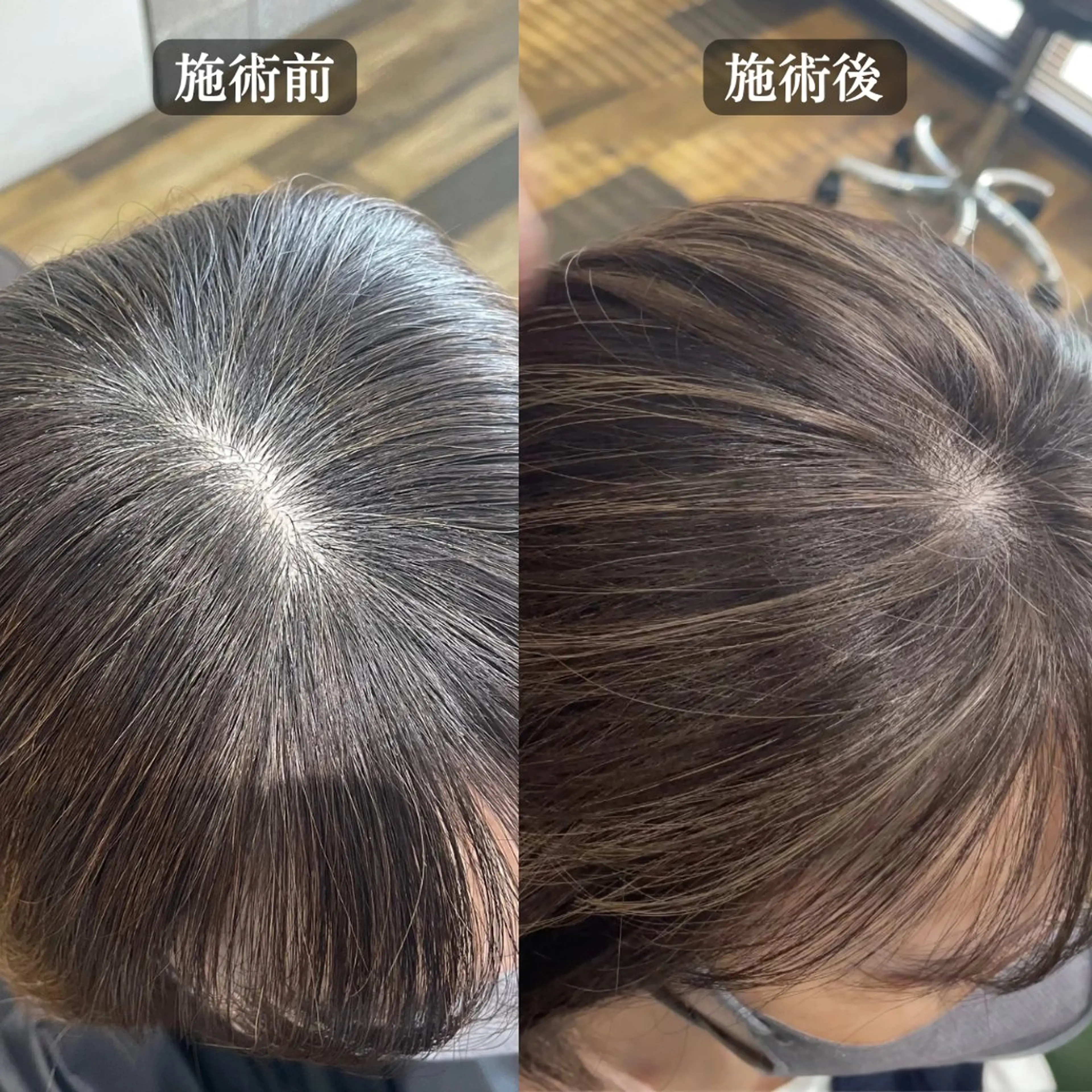 ショート カラー ベージュカラー ハイライトカラー ハイライト カット ヘアカラー トリートメント 白髪ぼかし ハイライト専門/大嶋のヘアスタイル