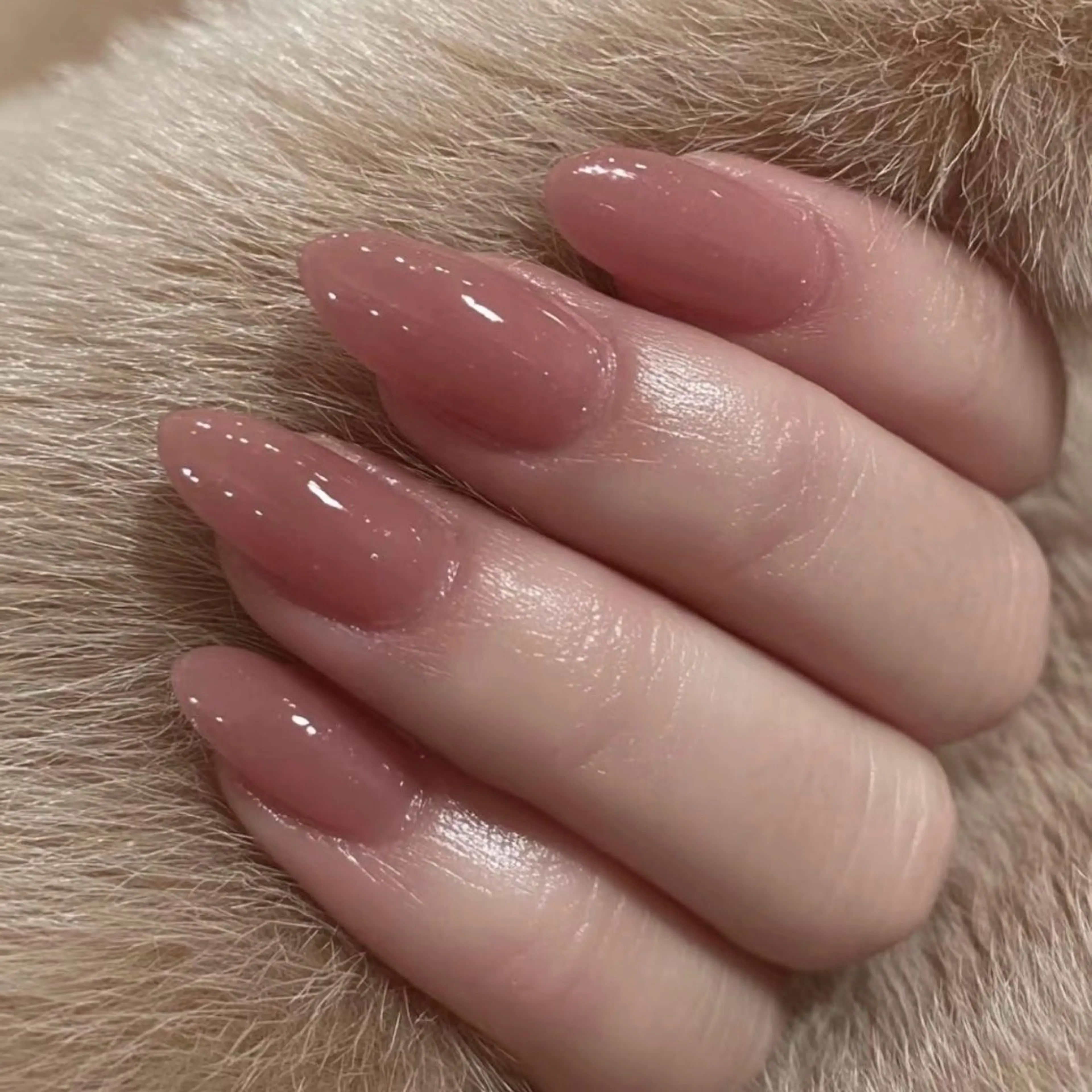 《平日限定》【パラジェル】うる艶　ワンカラー(オフ込)の写真