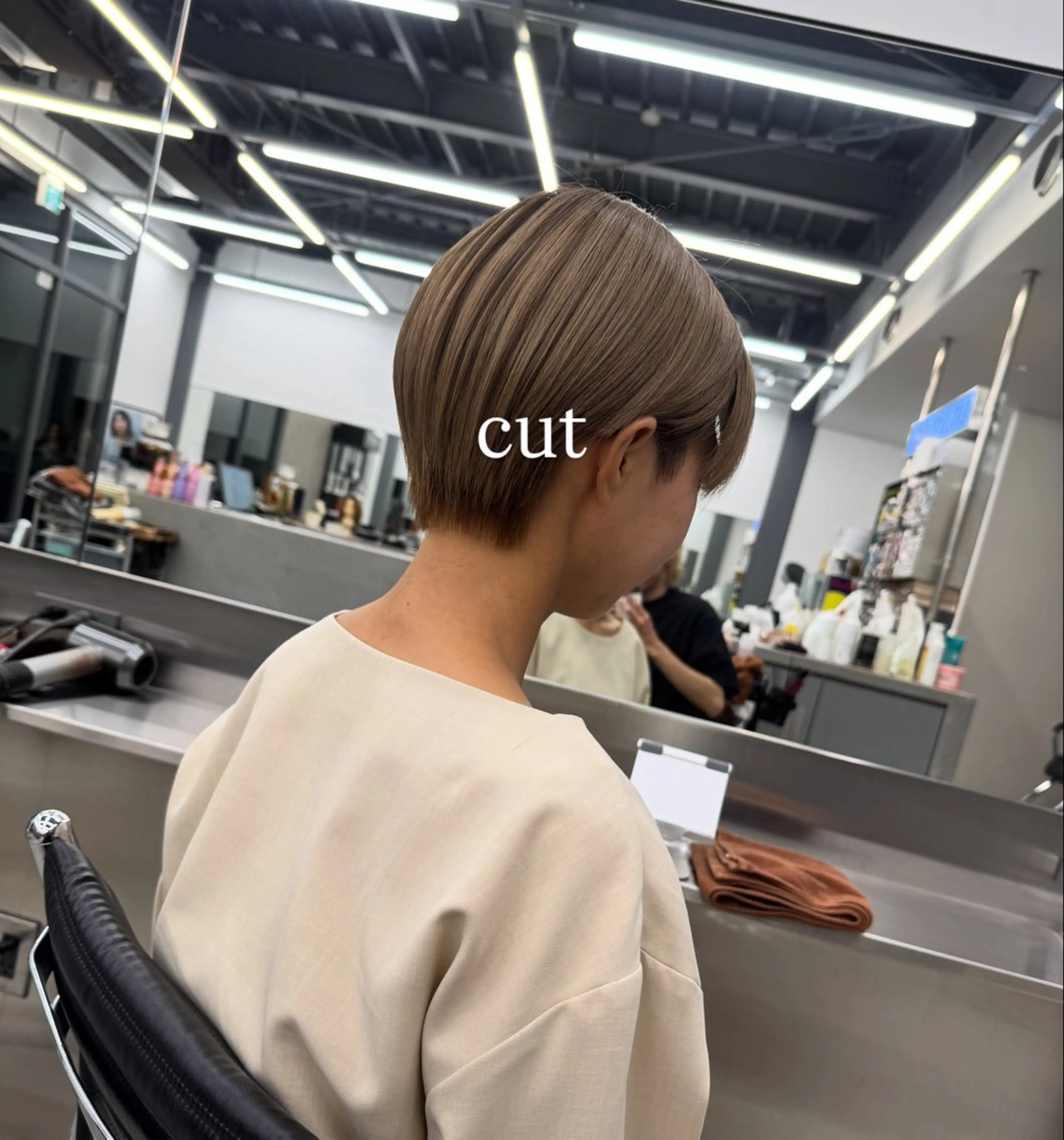 カットモデルの写真