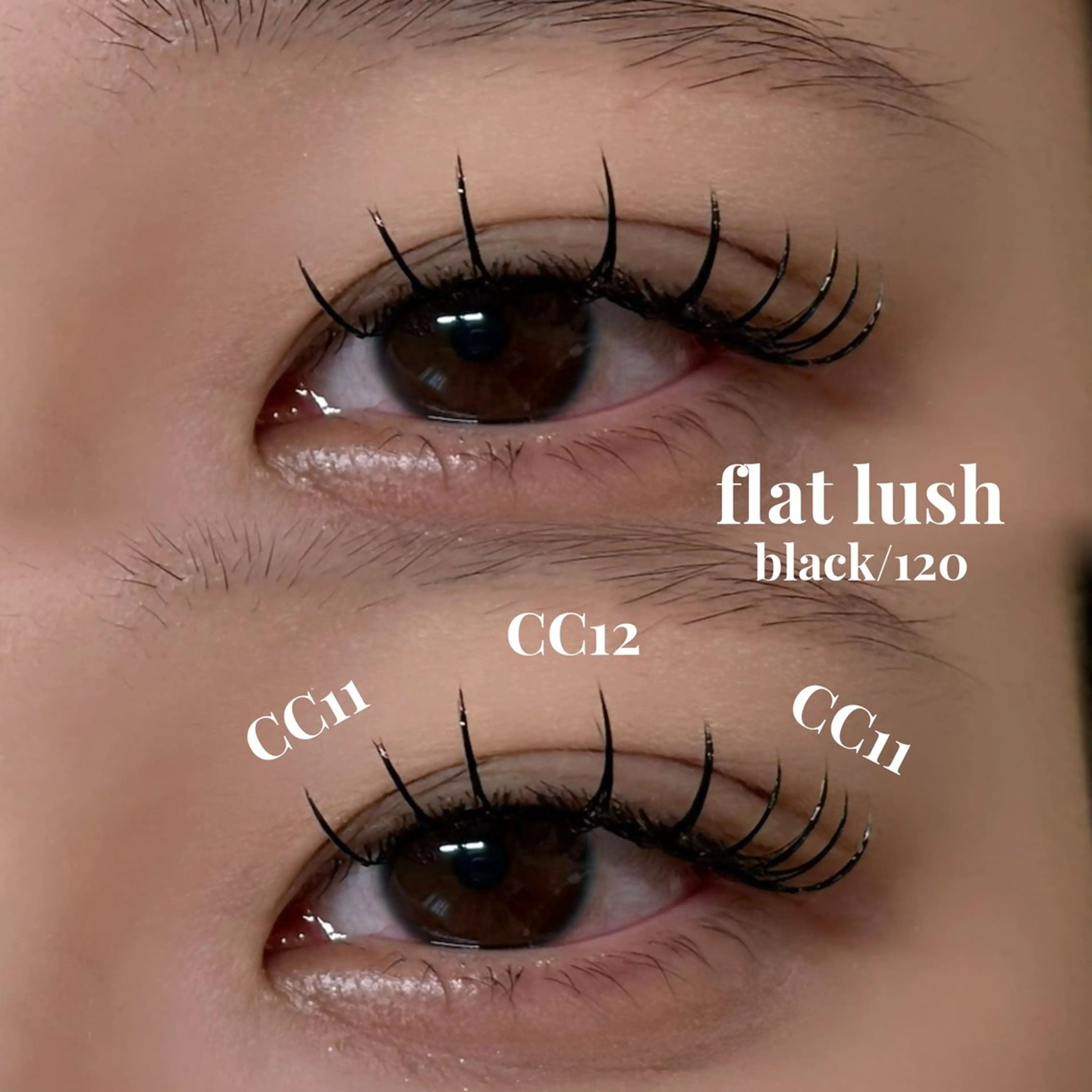 マツエク・マツパ miyu / sofa吉祥寺のマツエク・マツパデザイン