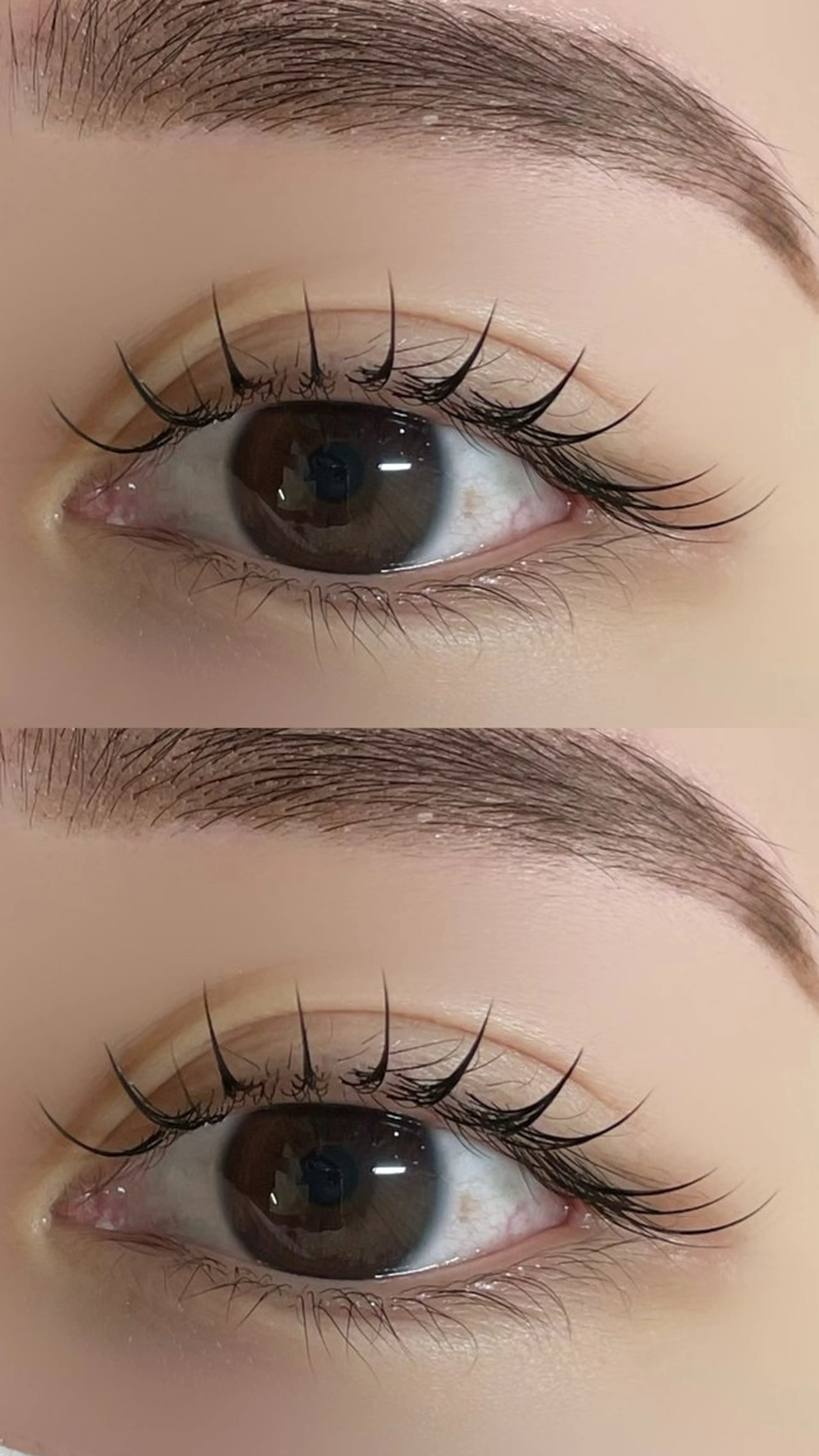 マツエク・マツパ マツエク LOA-brow所属・つちもと みゆうのマツエク・マツパデザイン