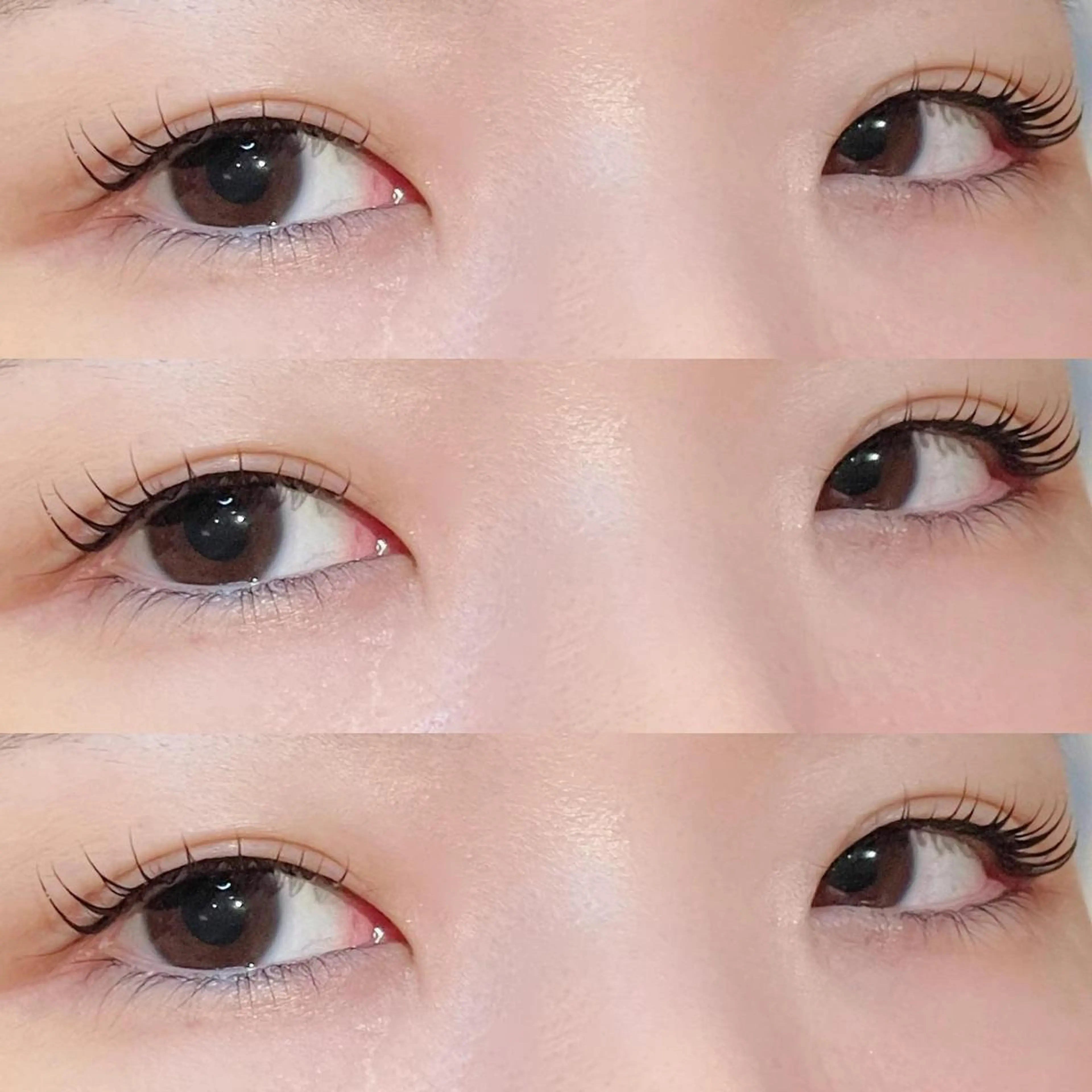 セミロング カラー ヘアアレンジ マツエク・マツパ セミロングパーマ 韓国風マツエク パリジェンヌラッシュリフト 一重×まつ毛パーマ 韓国風ヘア ブレス　セルバテラス泉店所属・🍓Rei naのマツエク・マツパデザイン