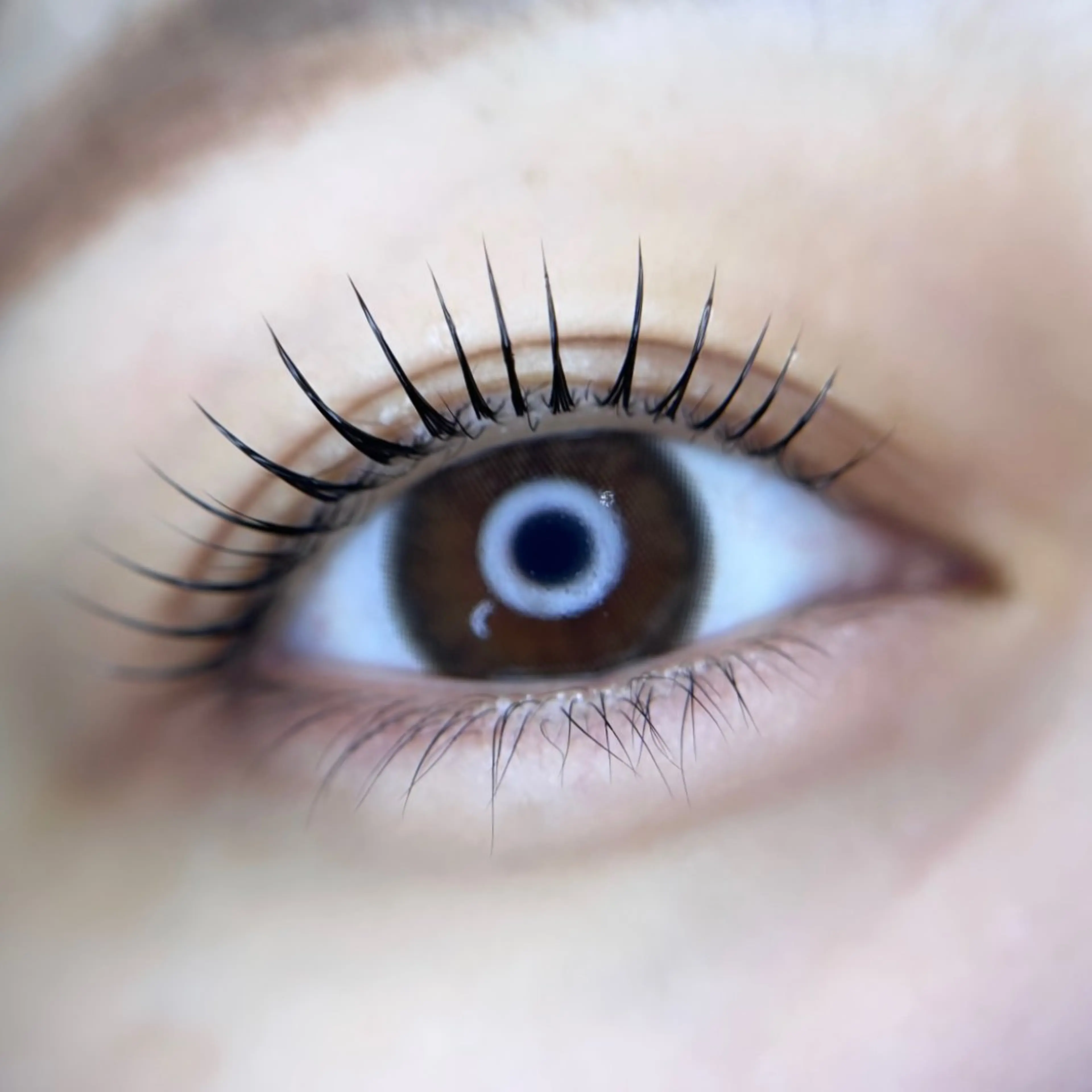 マツエク・マツパ ar...beauty salon所属・藤原 茜のマツエク・マツパデザイン