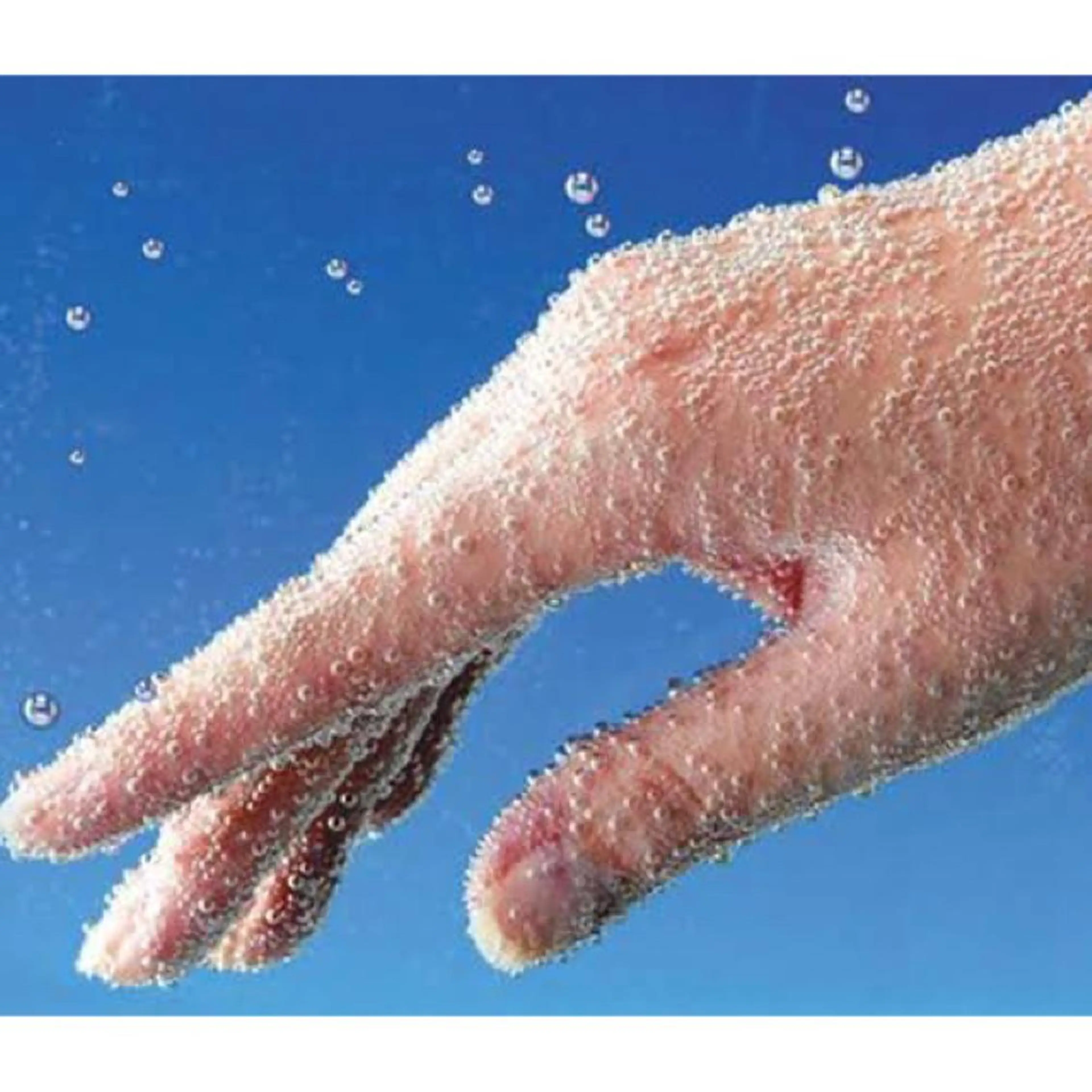 メンズ カット ヘッドスパ 🪽羽エク/Ash 店長/折目奈央🪽のヘアスタイル