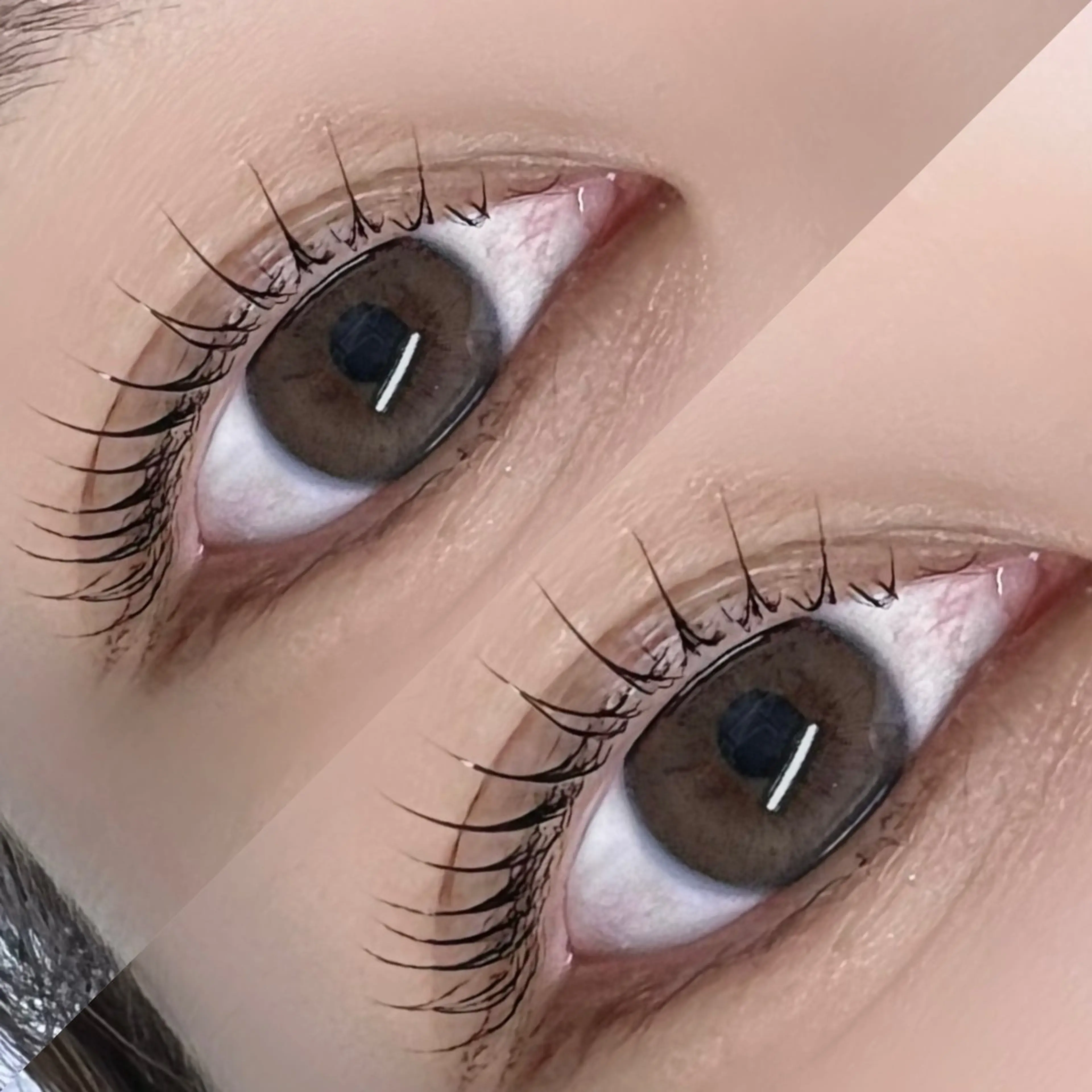 マツエク・マツパ マツパ 垢抜け眉WAX専門 ちゅるんまつげ|鎌倉の眉毛・アイブロウイメージ