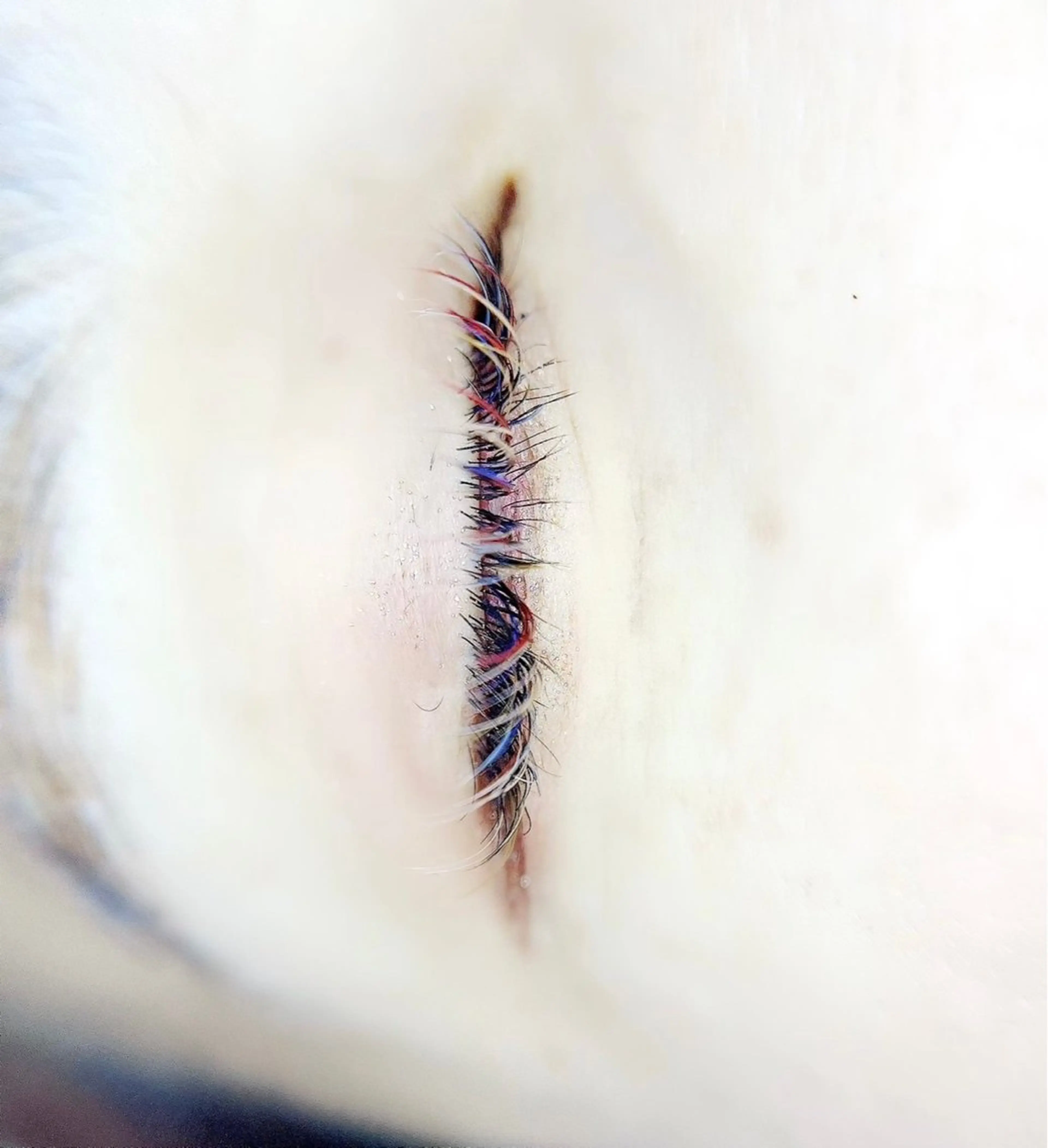 マツエク・マツパ un par un アンパルアン所属・un par unの眉毛・アイブロウイメージ