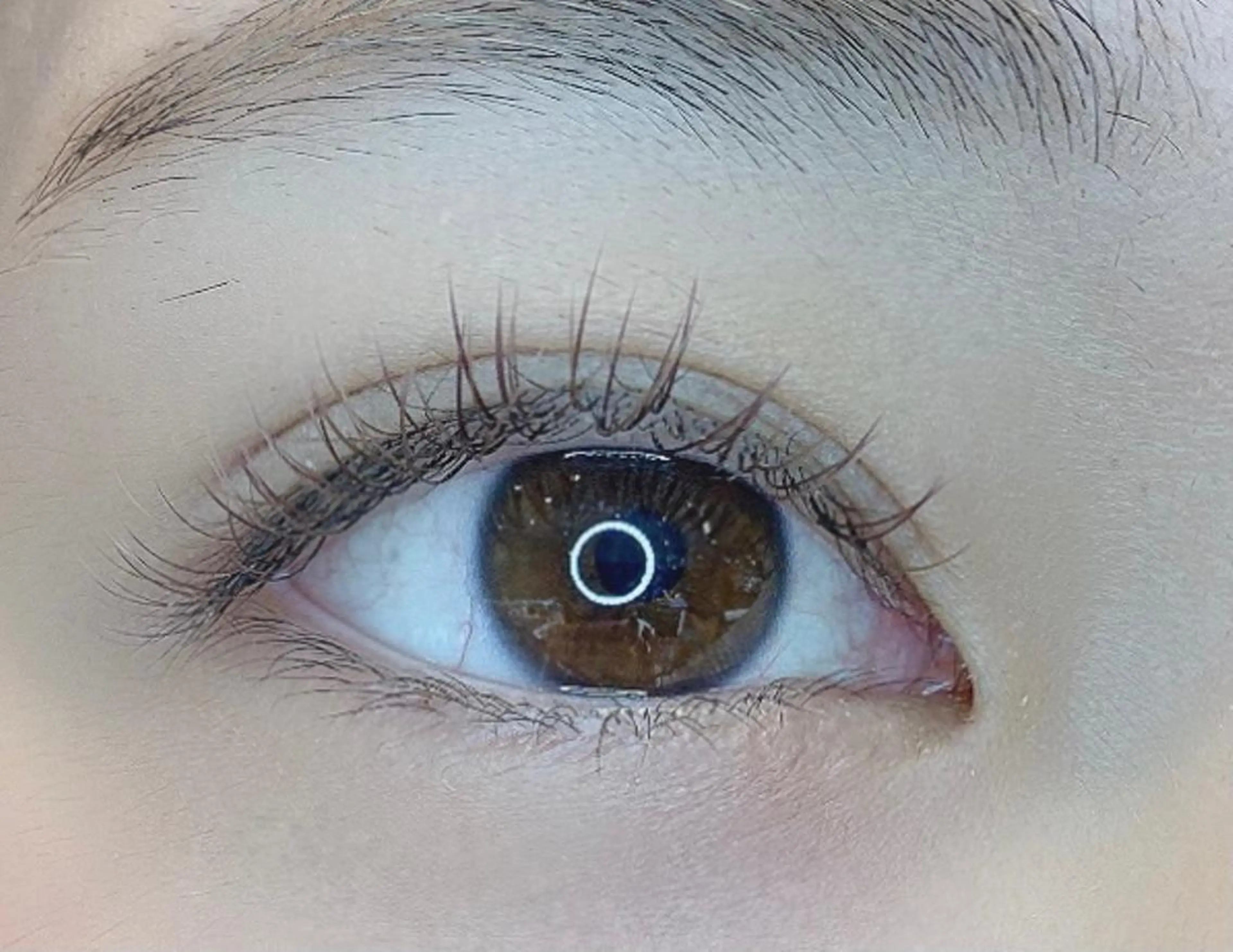 マツエク・マツパ Angelica Michelleのマツエク・マツパデザイン