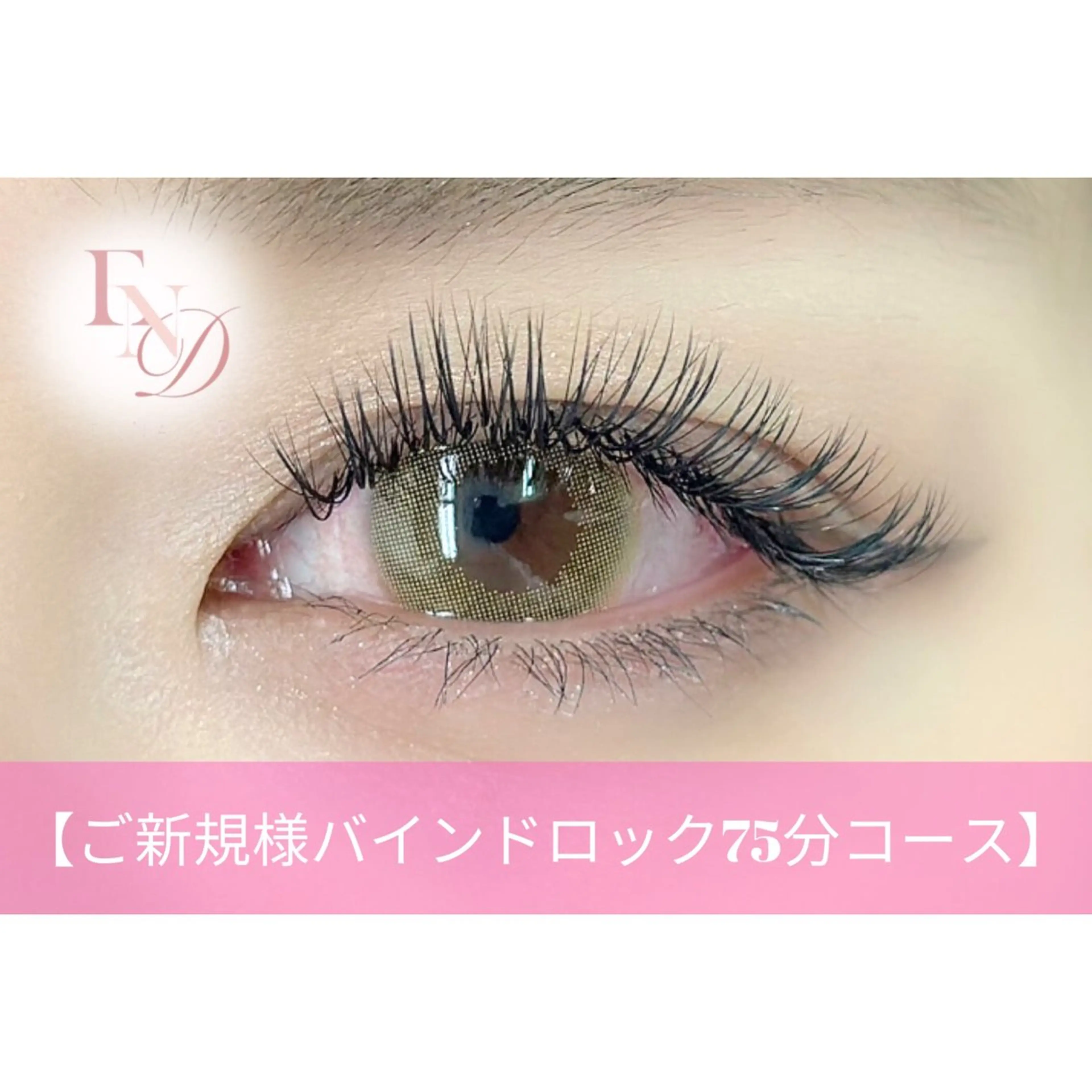 【バインドロック】80束¥6980/オフ込の写真