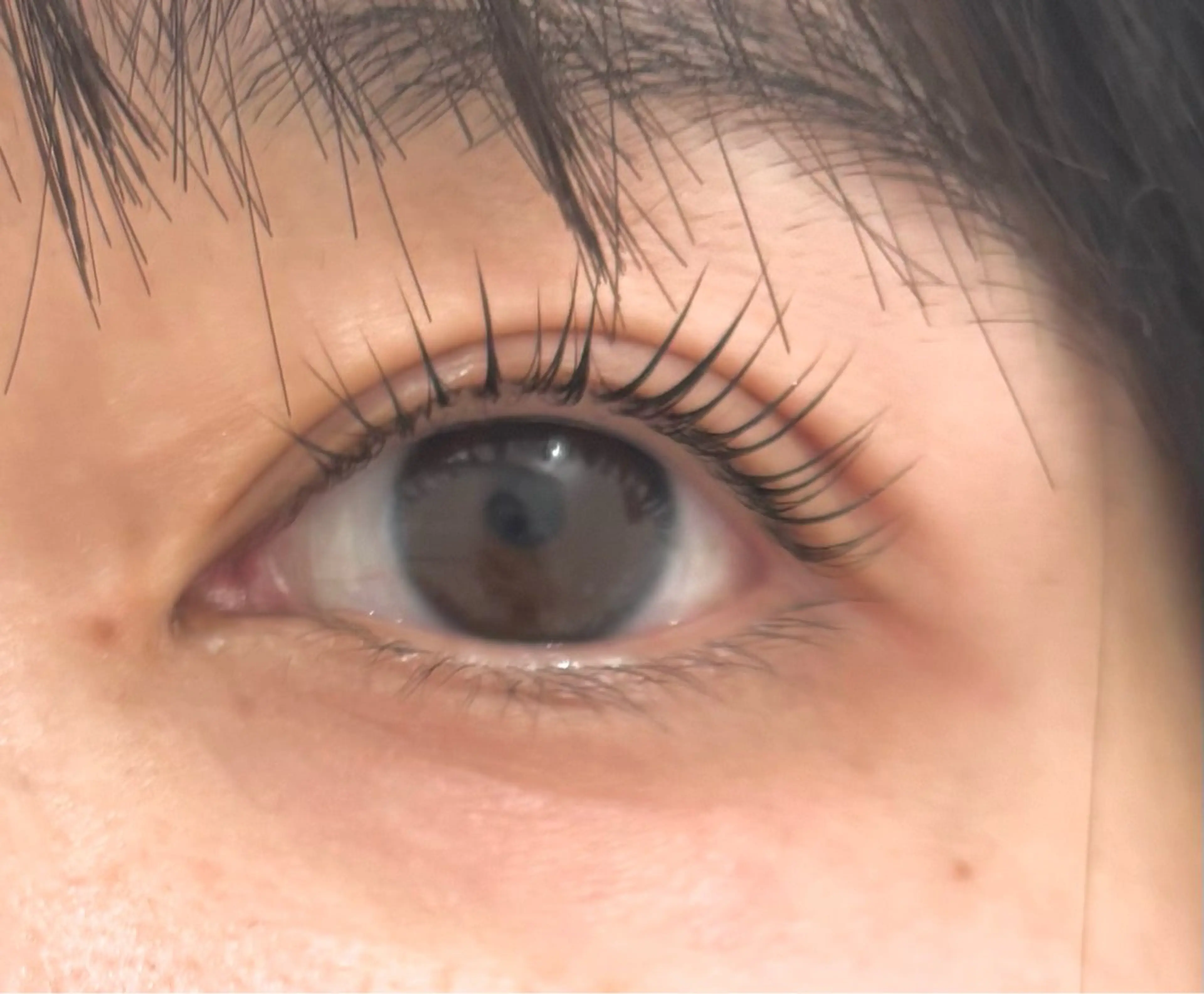 マツエク・マツパ パリジェンヌラッシュリフト カルフールノア大船店所属・カルフールノア大船/ Ririの眉毛・アイブロウイメージ