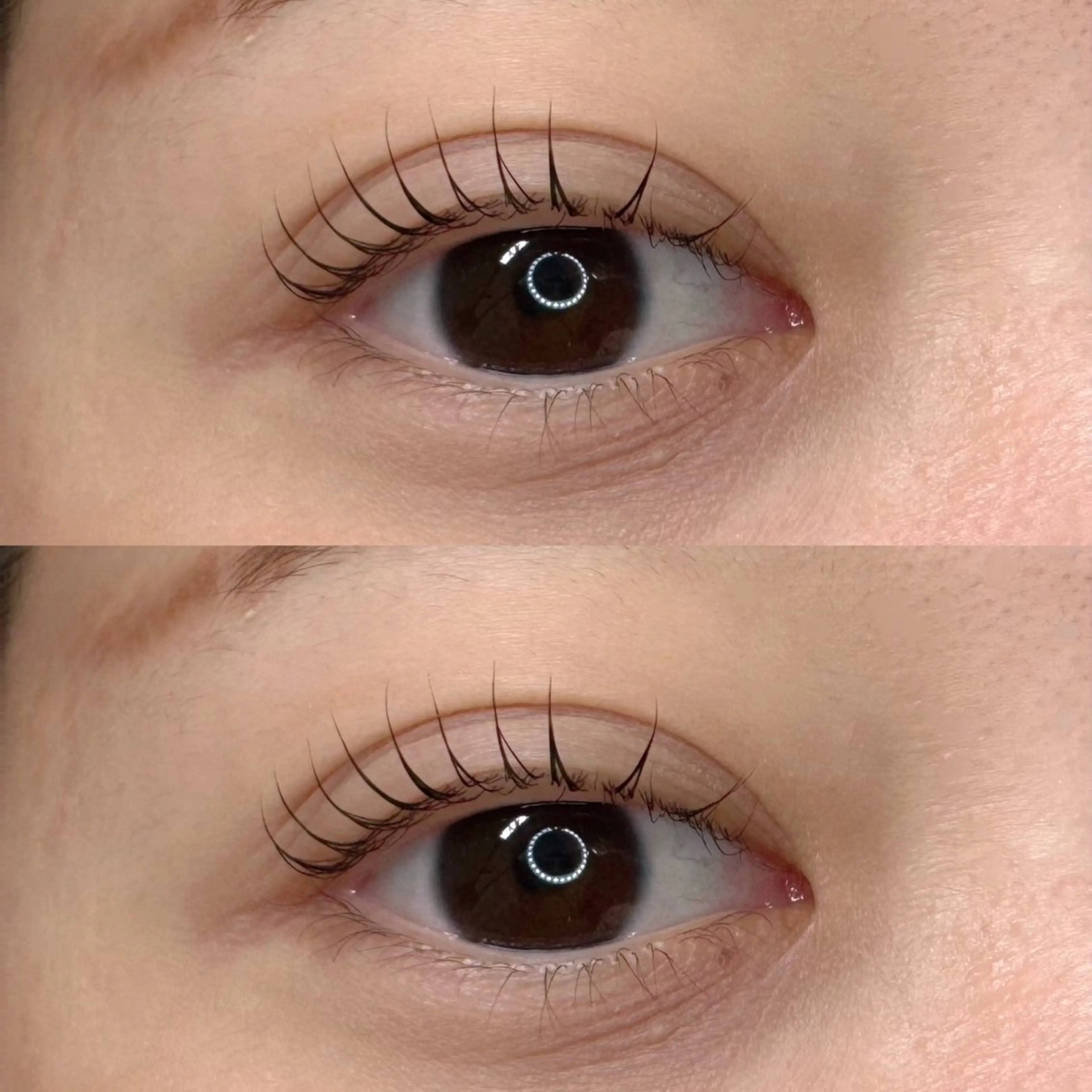 【ミニモ学割クーポン🏫】デザイン指定まつげパーマの写真