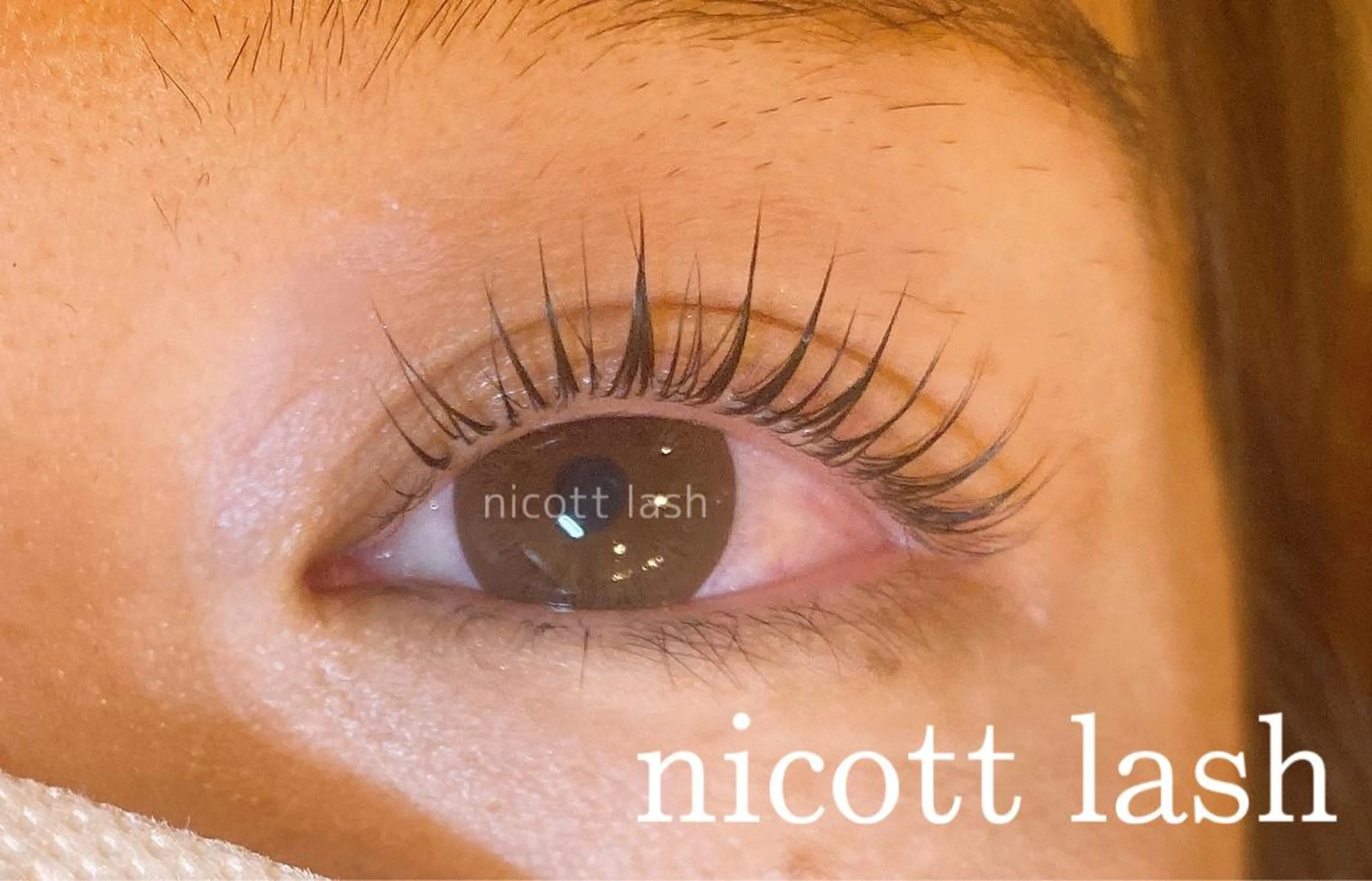 マツエク・マツパ パリジェンヌラッシュリフト nicottlash 天王寺店の眉毛・アイブロウイメージ