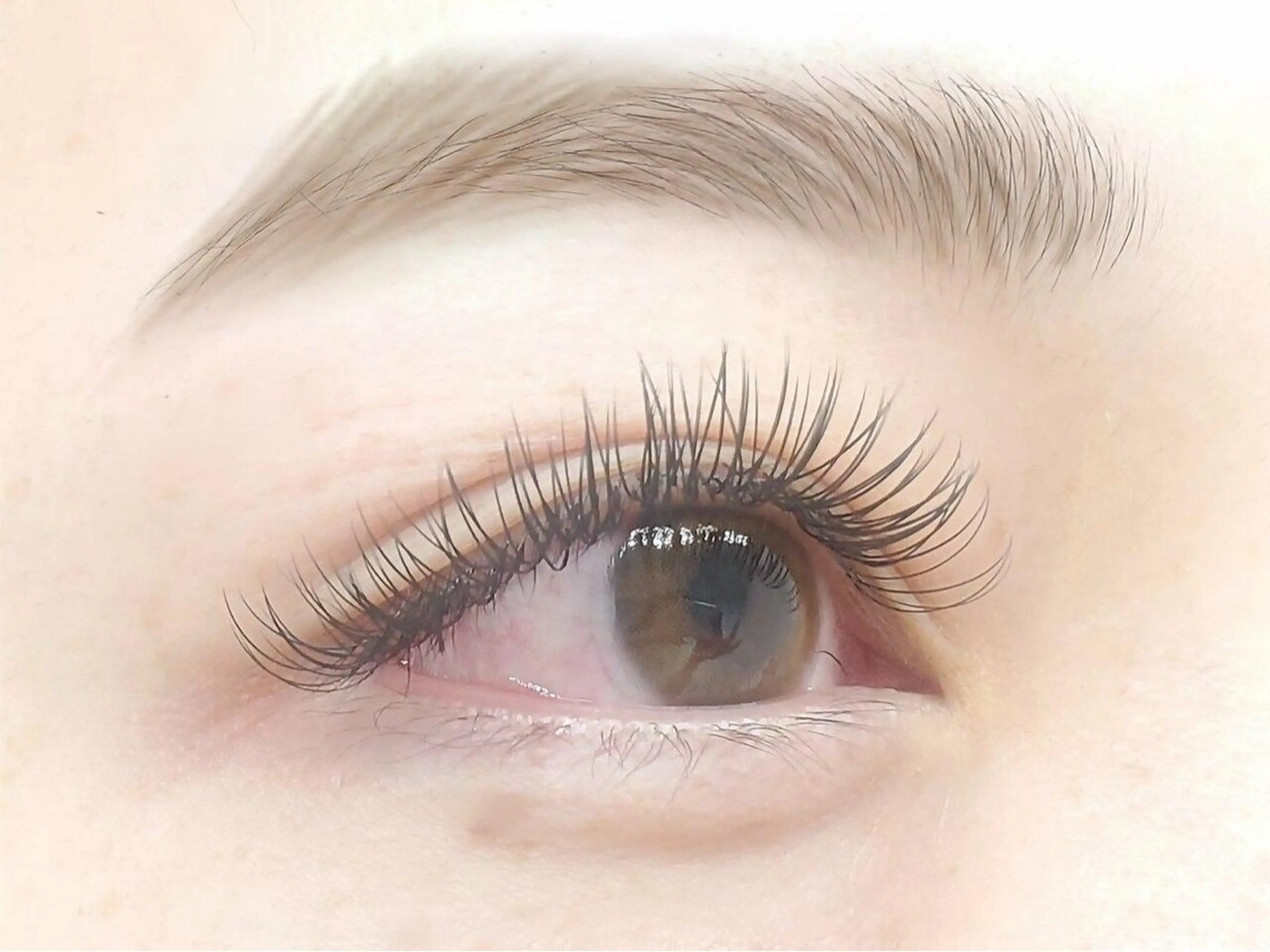 🌼フラットマットラッシュ120本🌼の写真