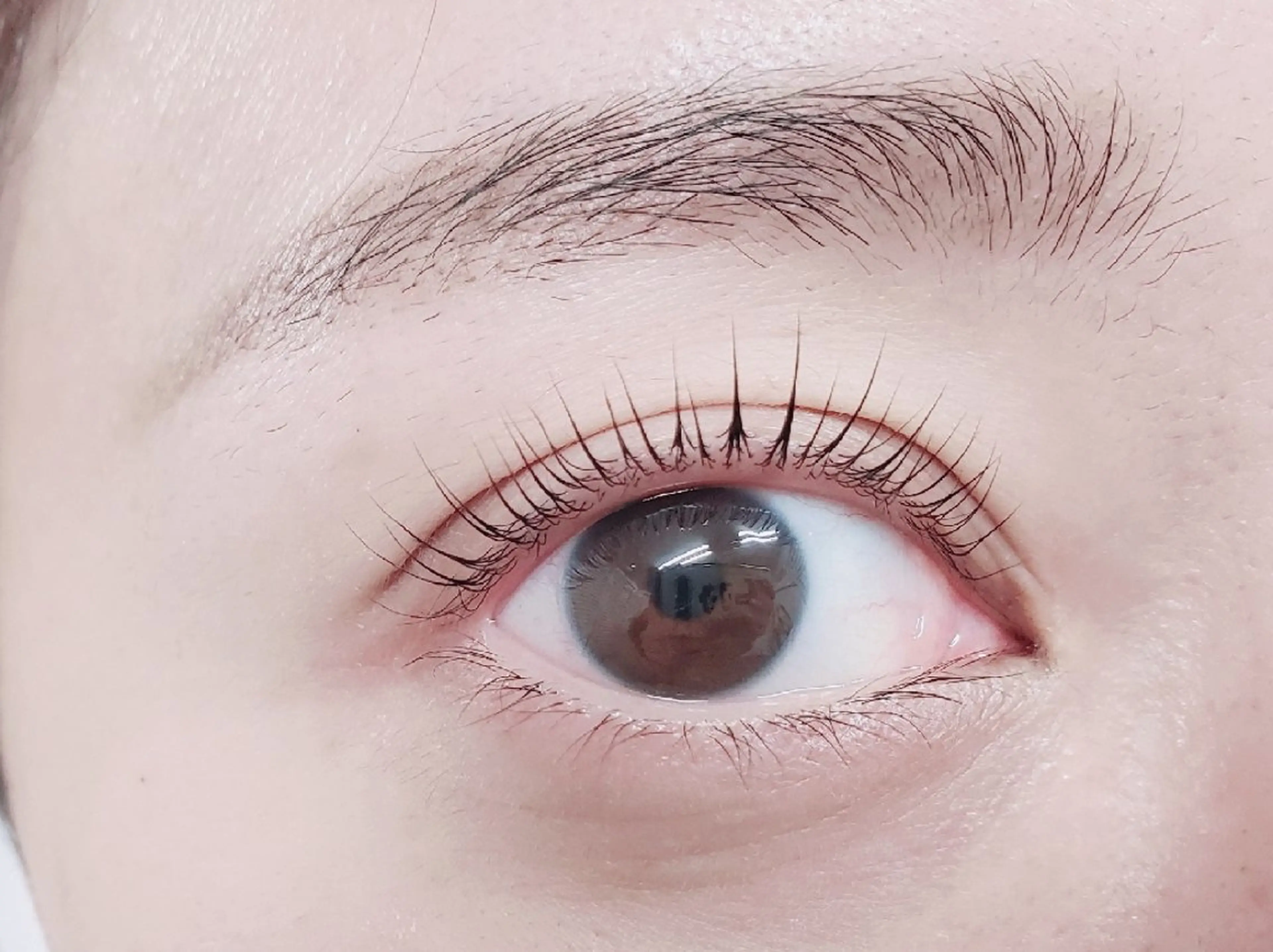 パリジェンヌラッシュ ✨コーティング付き✨ 3800円の写真