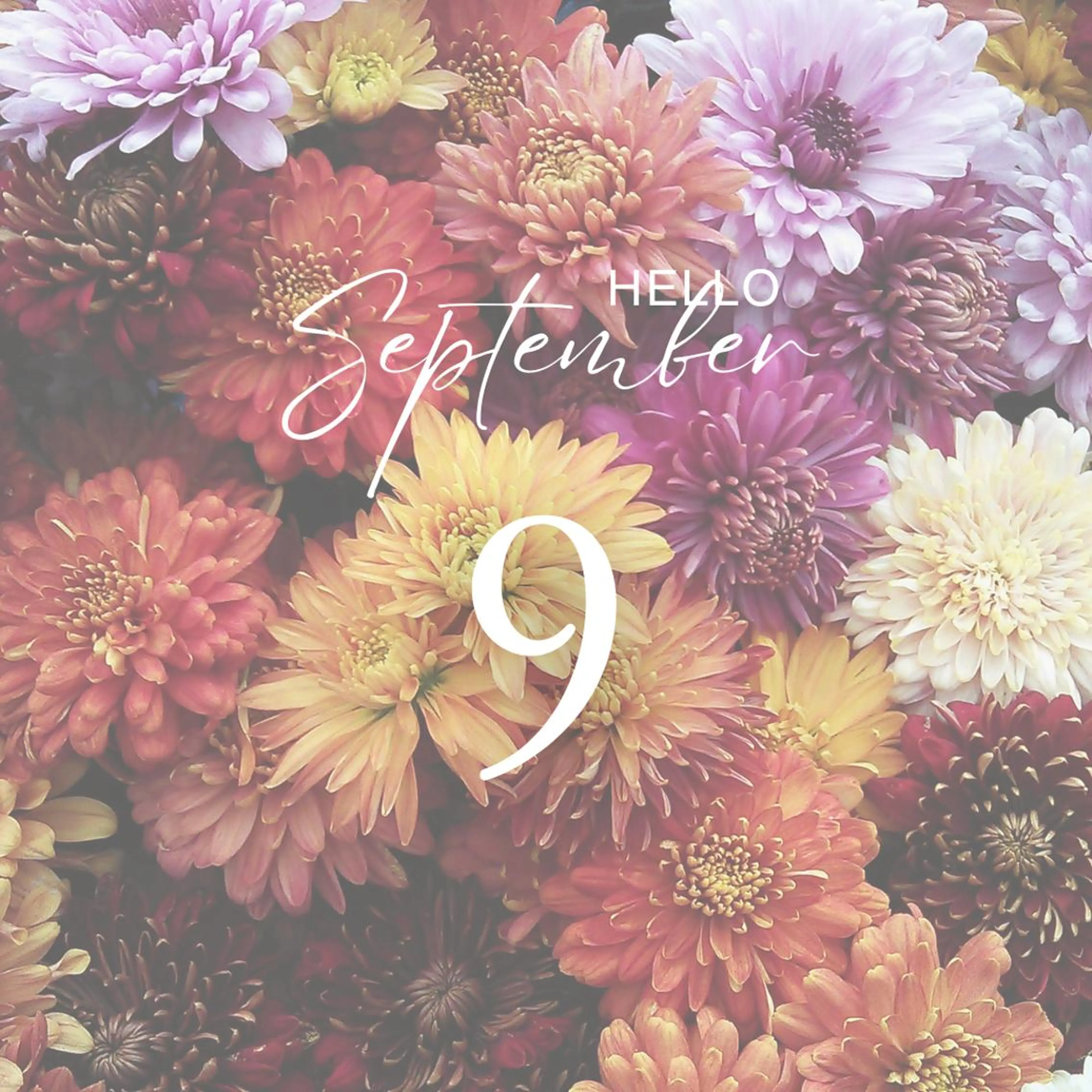 眉毛×肌質改善🫧 高岳/新栄町✨YUUの眉毛・アイブロウイメージ