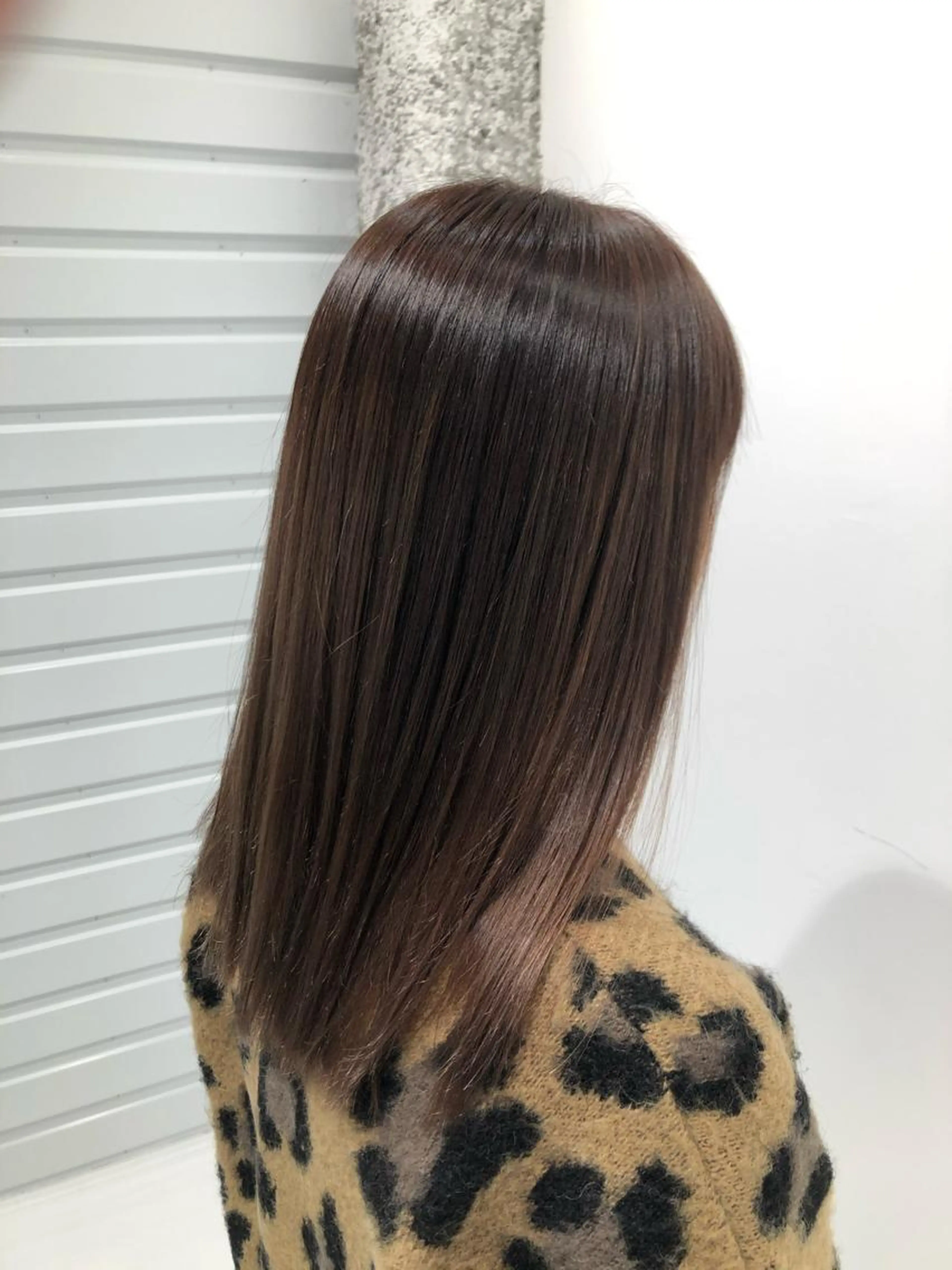 カット+縮毛矯正🐶❤️の写真