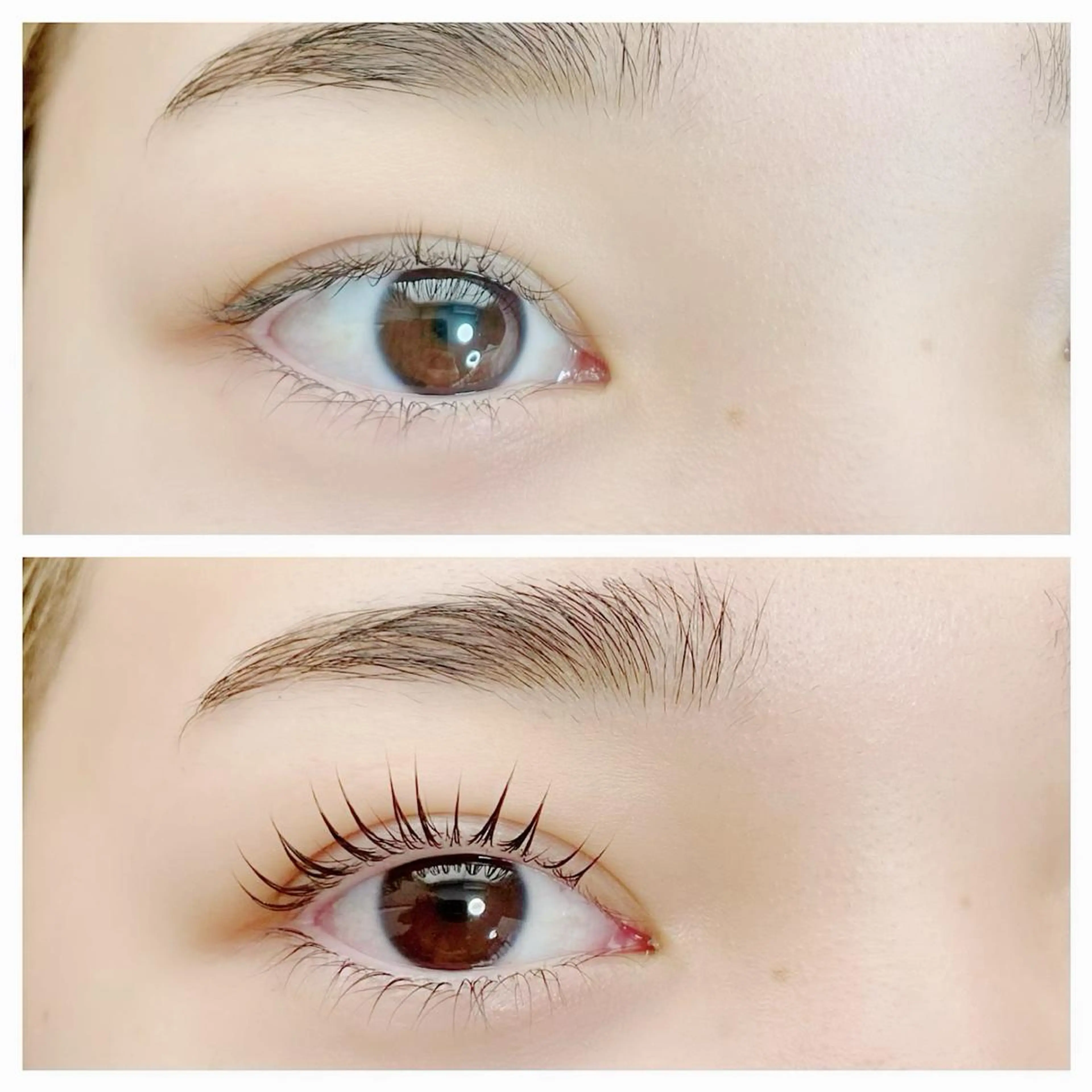 【新規】ミニモ限定✨選べる次世代まつげパーマorパリジェンヌラッシュリフト(美容液仕上)の写真