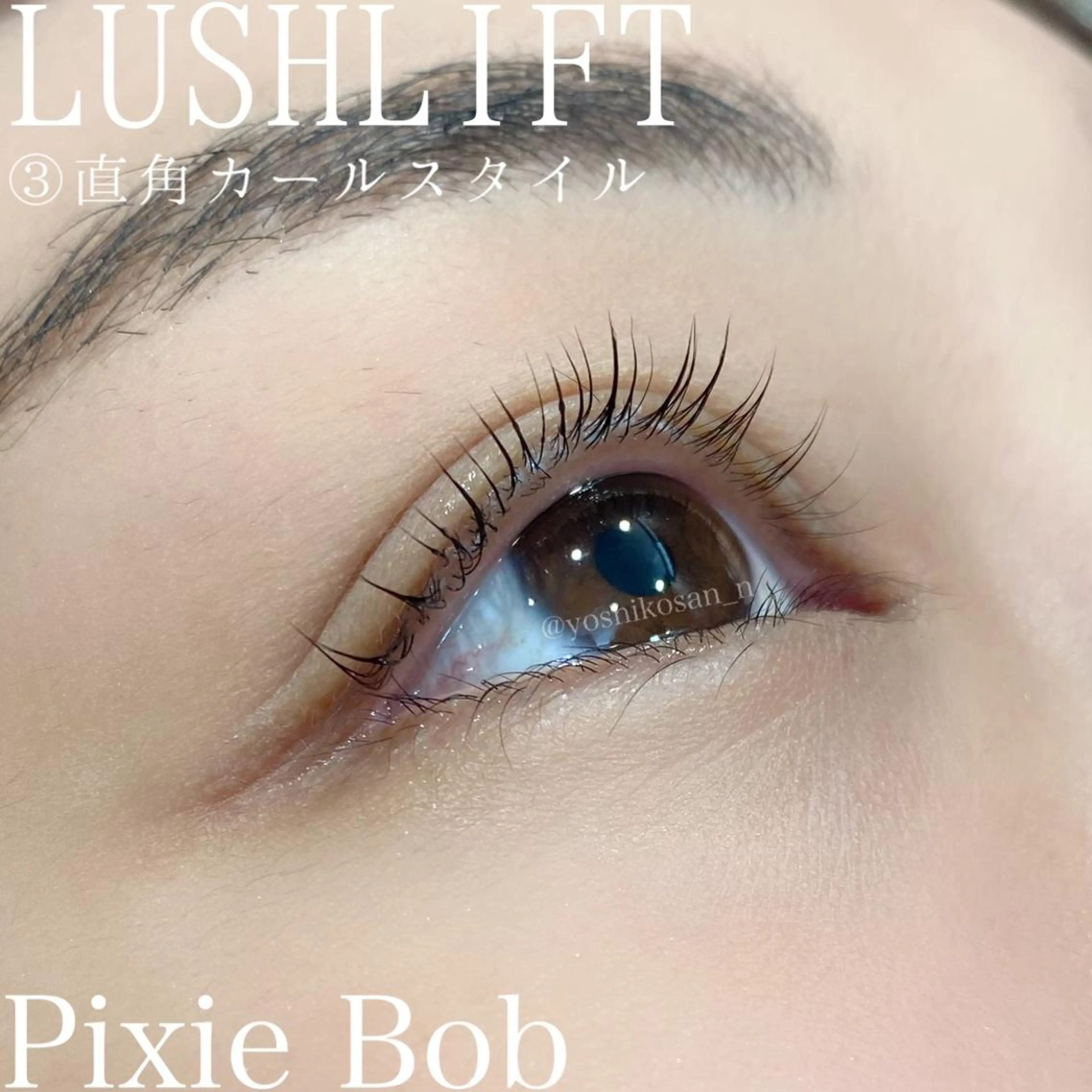 マツエク・マツパ カラーマツエク Pixie Bob 🐈‍⬛　位田のマツエク・マツパデザイン